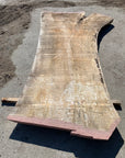 Spalted Soft Maple Slab