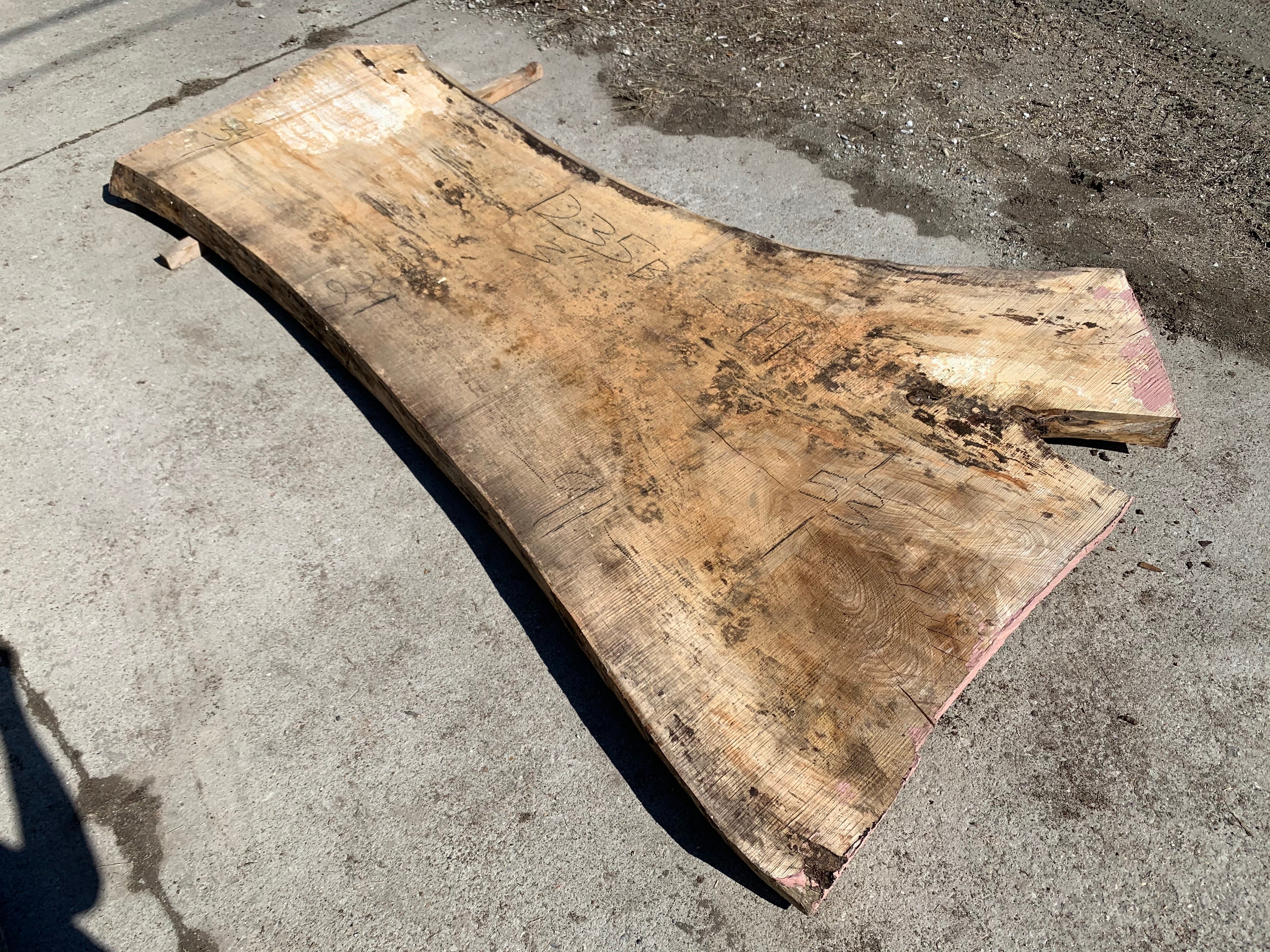 Spalted Soft Maple Slab