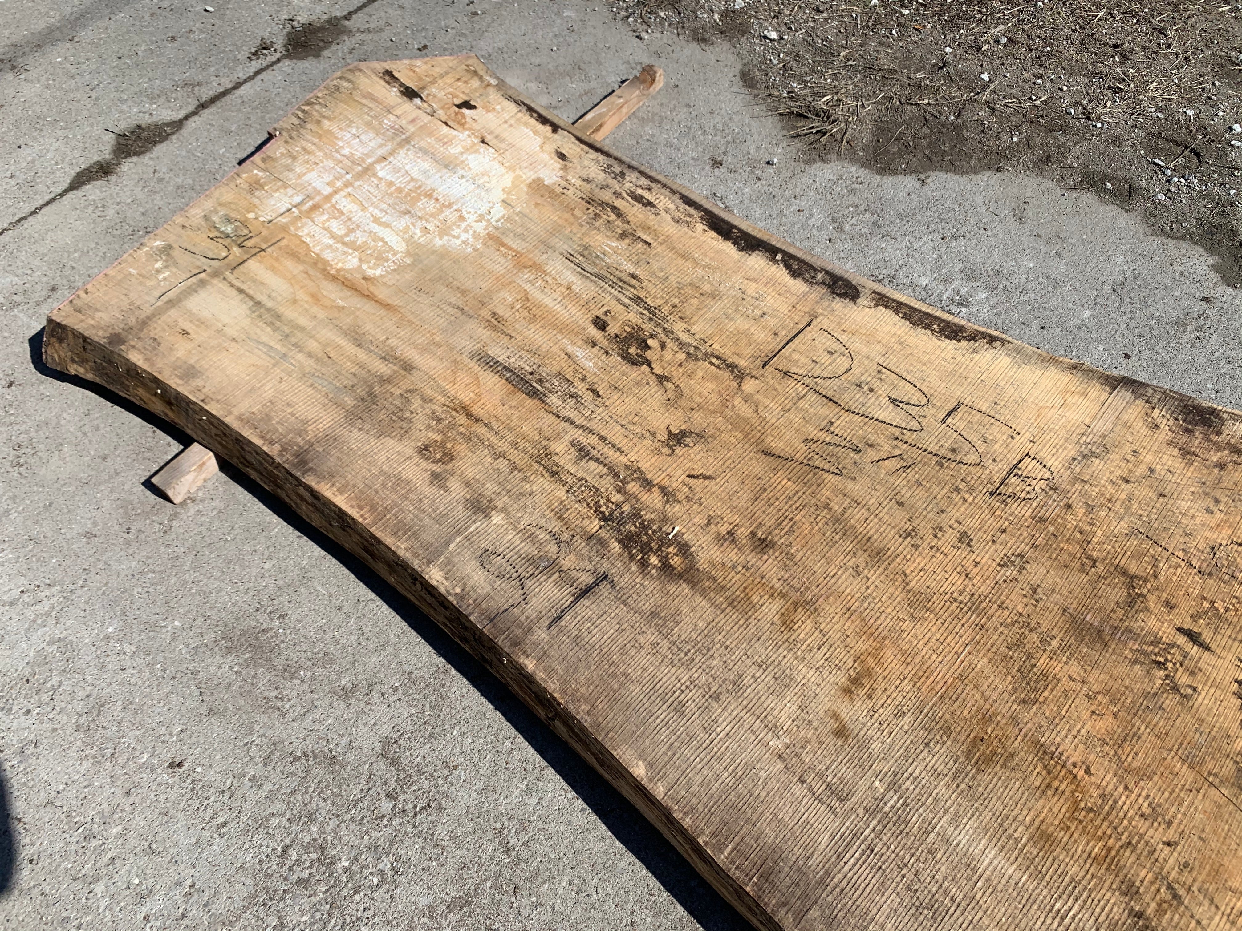Spalted Soft Maple Slab