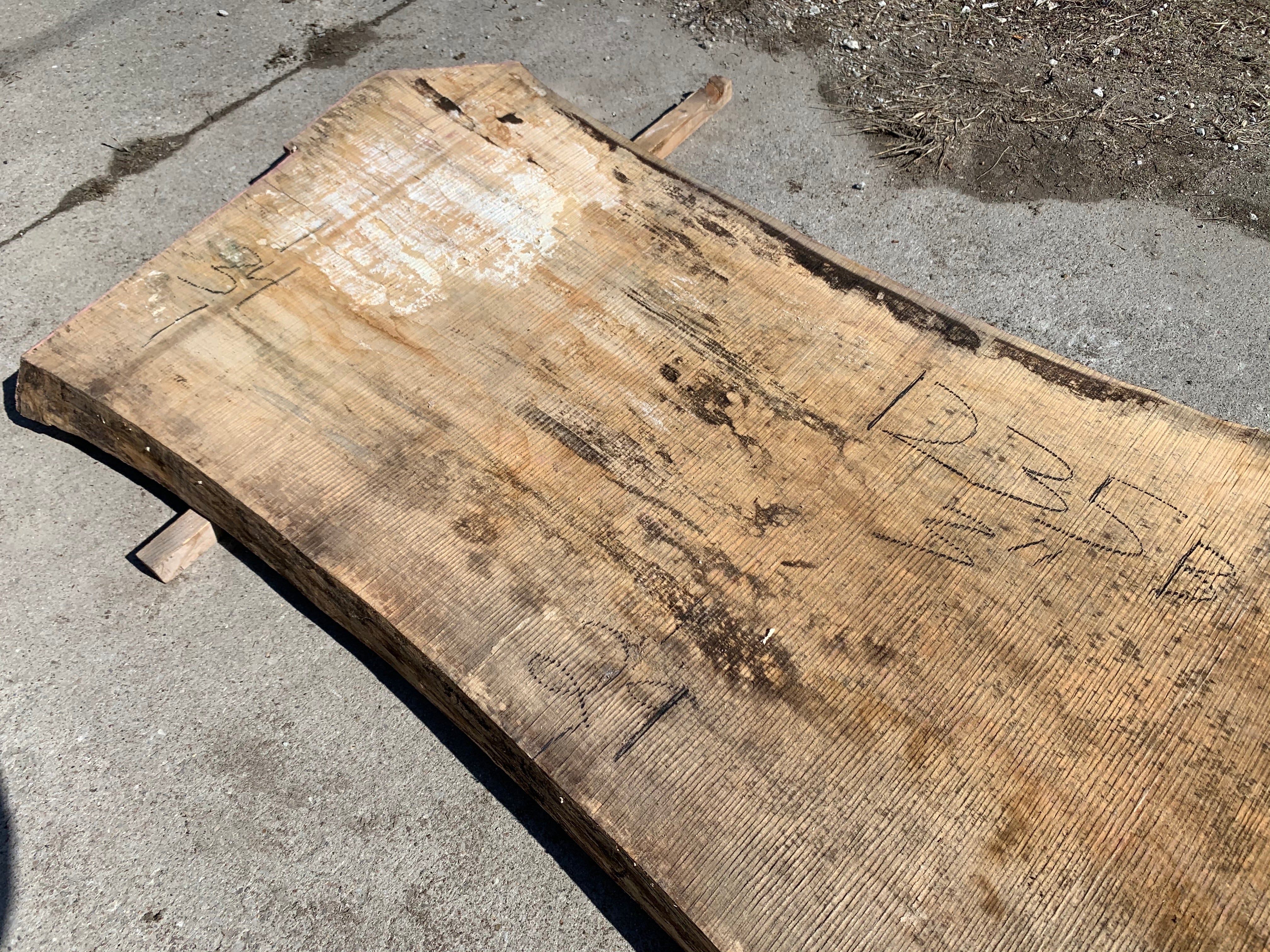 Spalted Soft Maple Slab