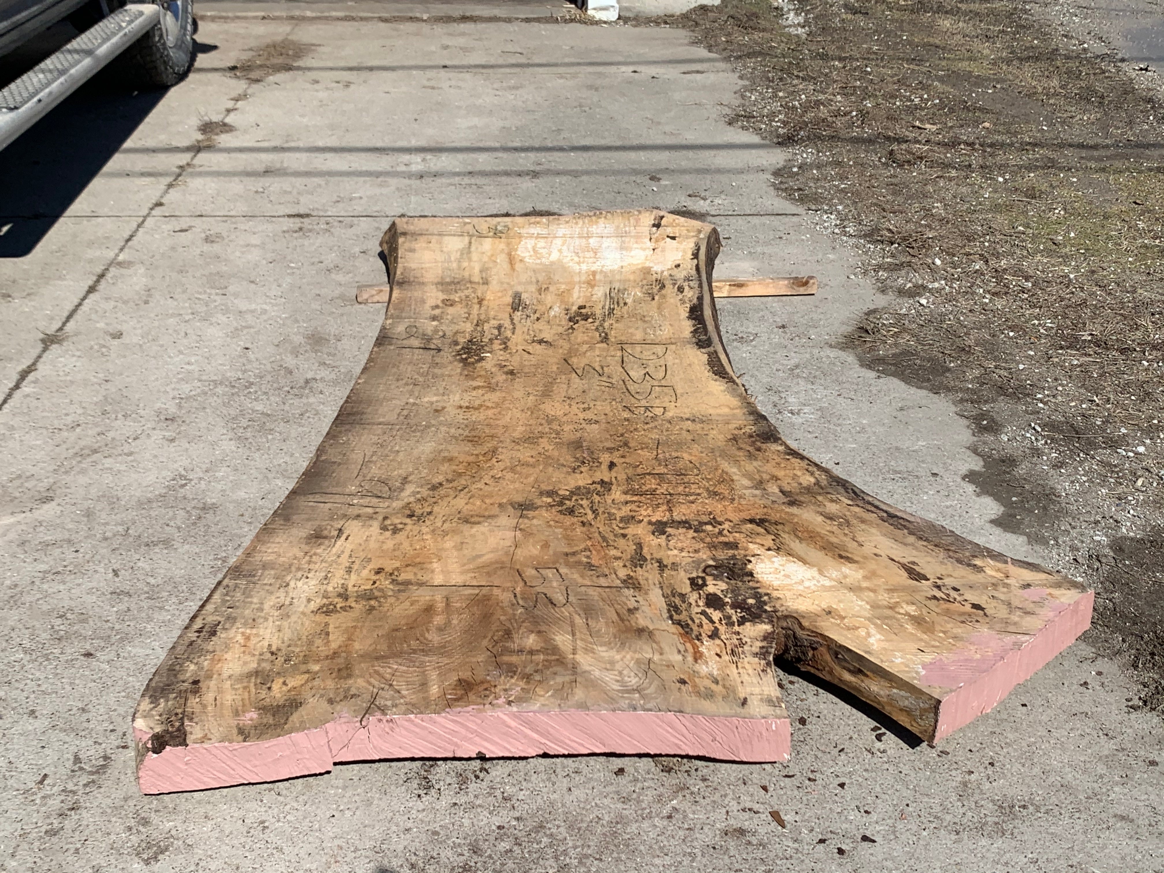 Spalted Soft Maple Slab