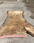 Spalted Soft Maple Slab