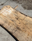 Spalted Soft Maple Slab