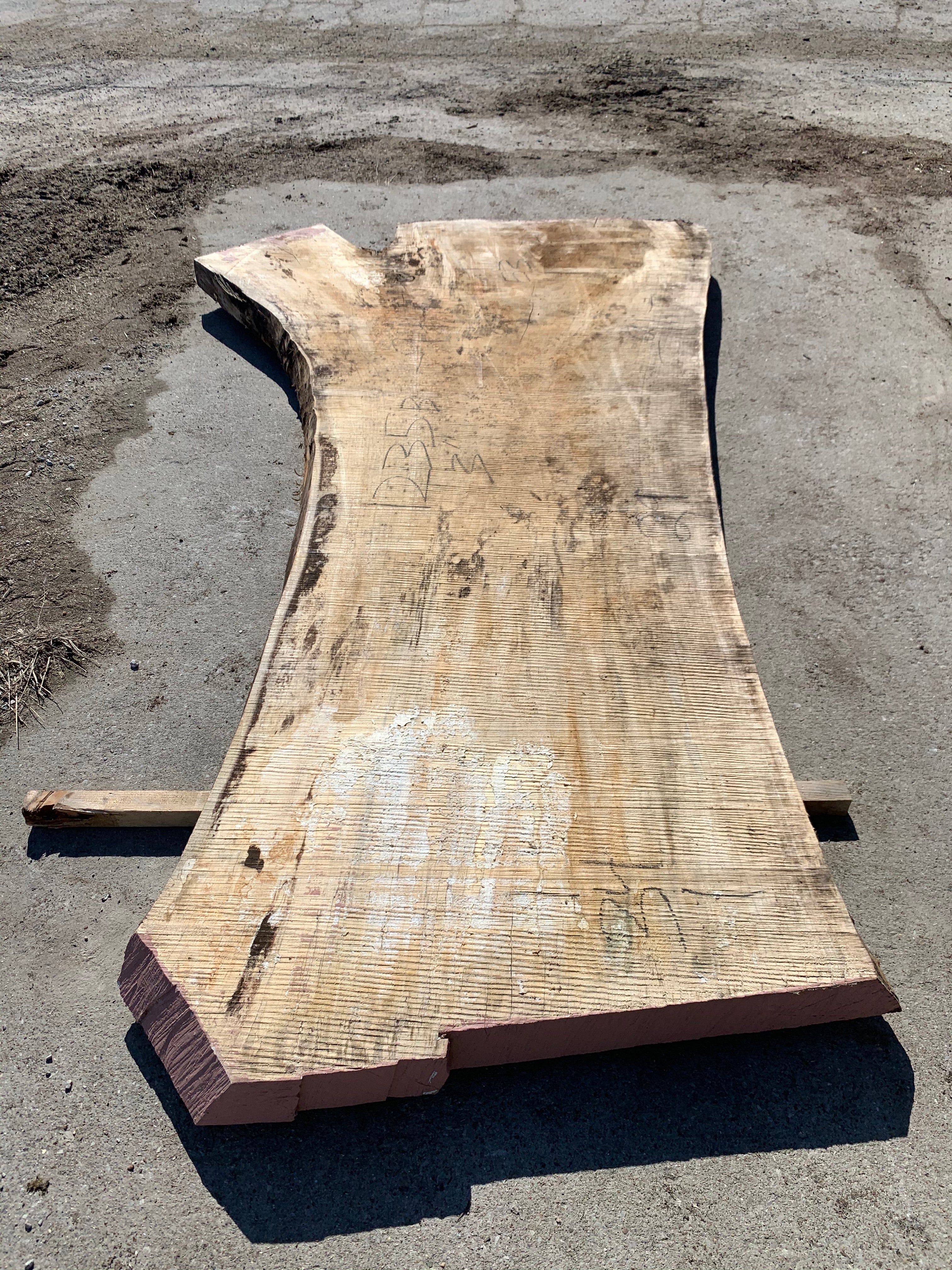 Spalted Soft Maple Slab