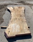 Spalted Soft Maple Slab