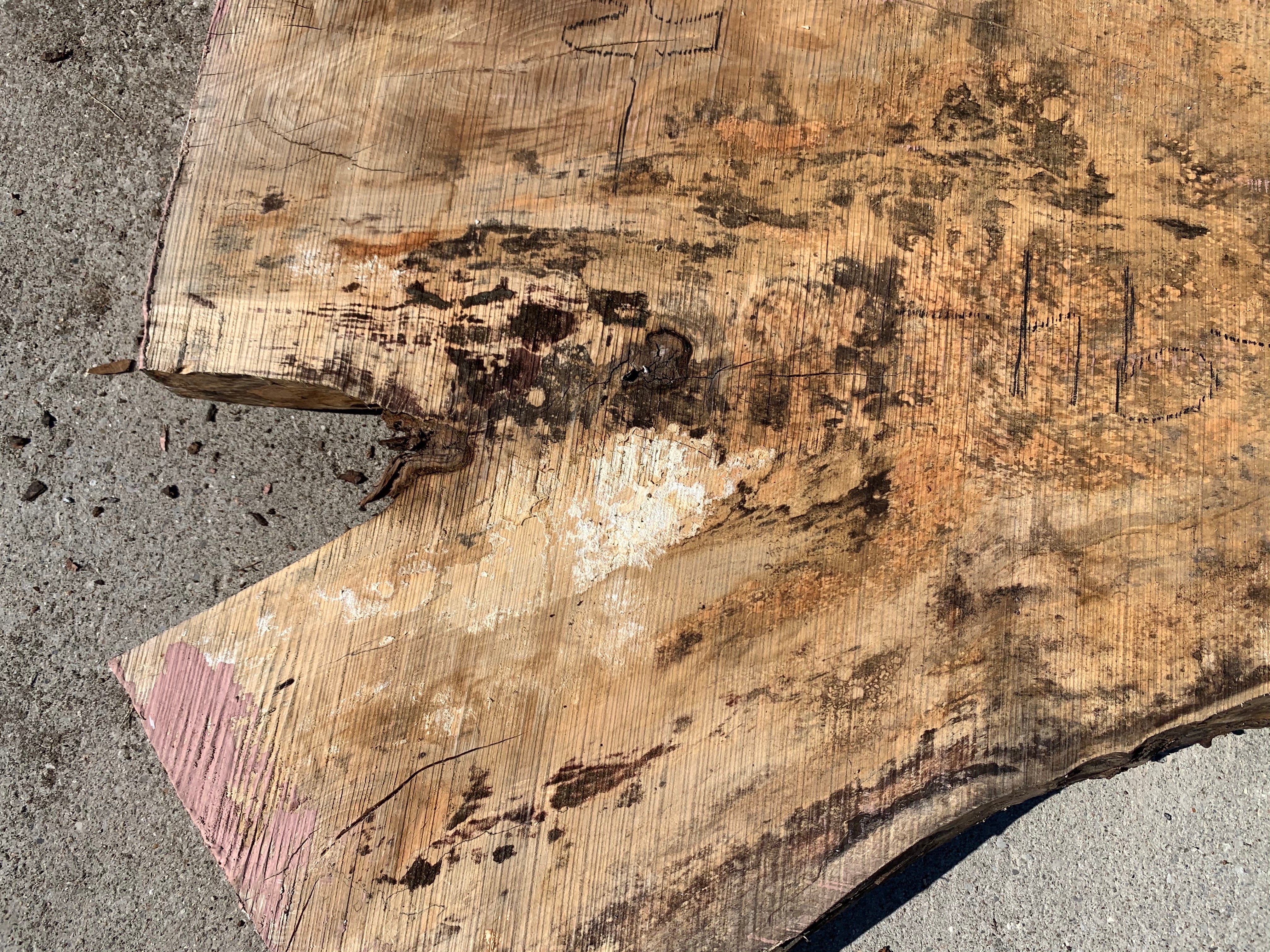 Spalted Soft Maple Slab