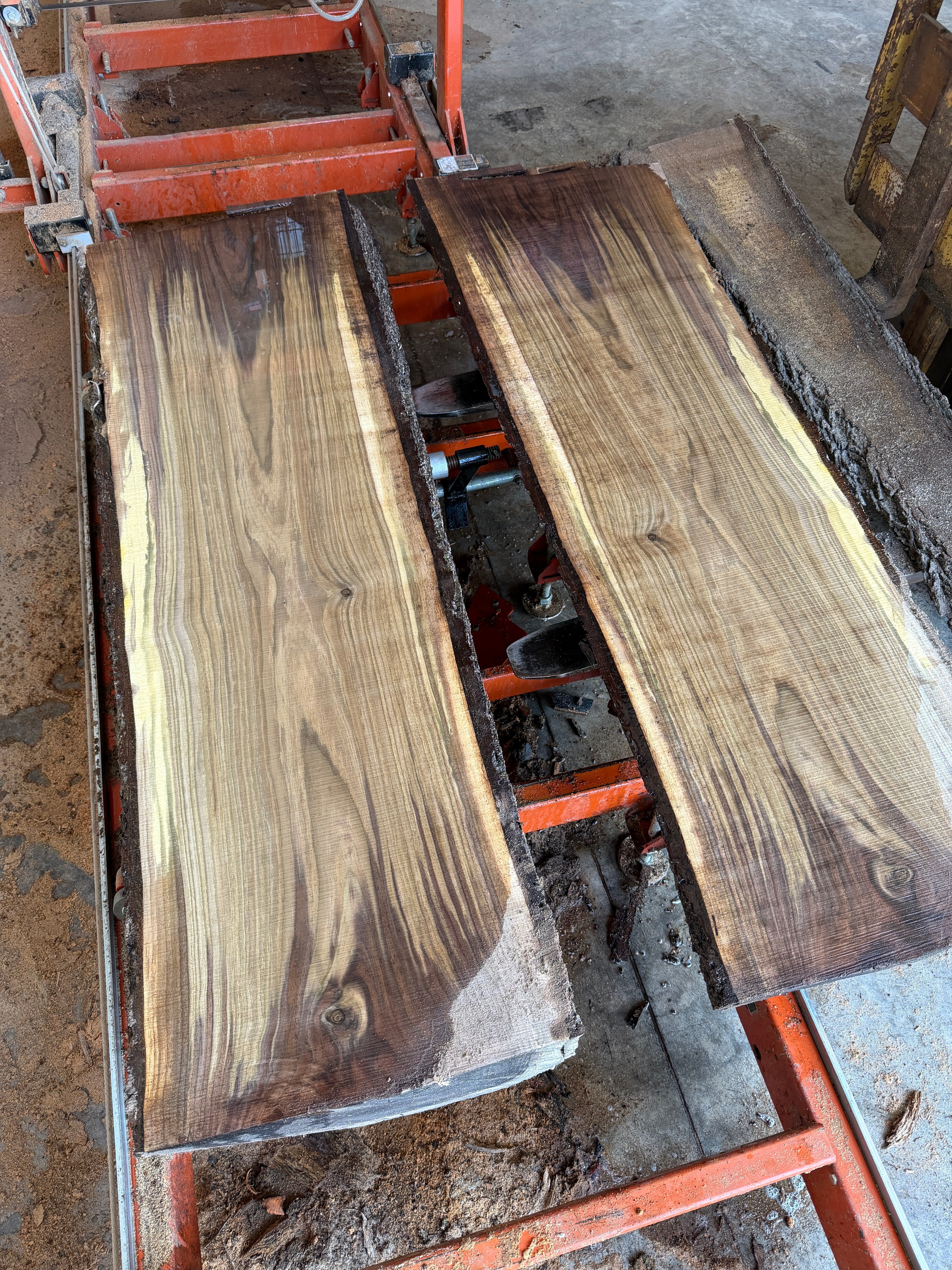 The Fascinating Transformation of Walnut Heartwood: A Deep Dive into ...