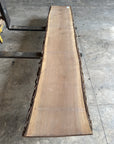 Black Walnut 