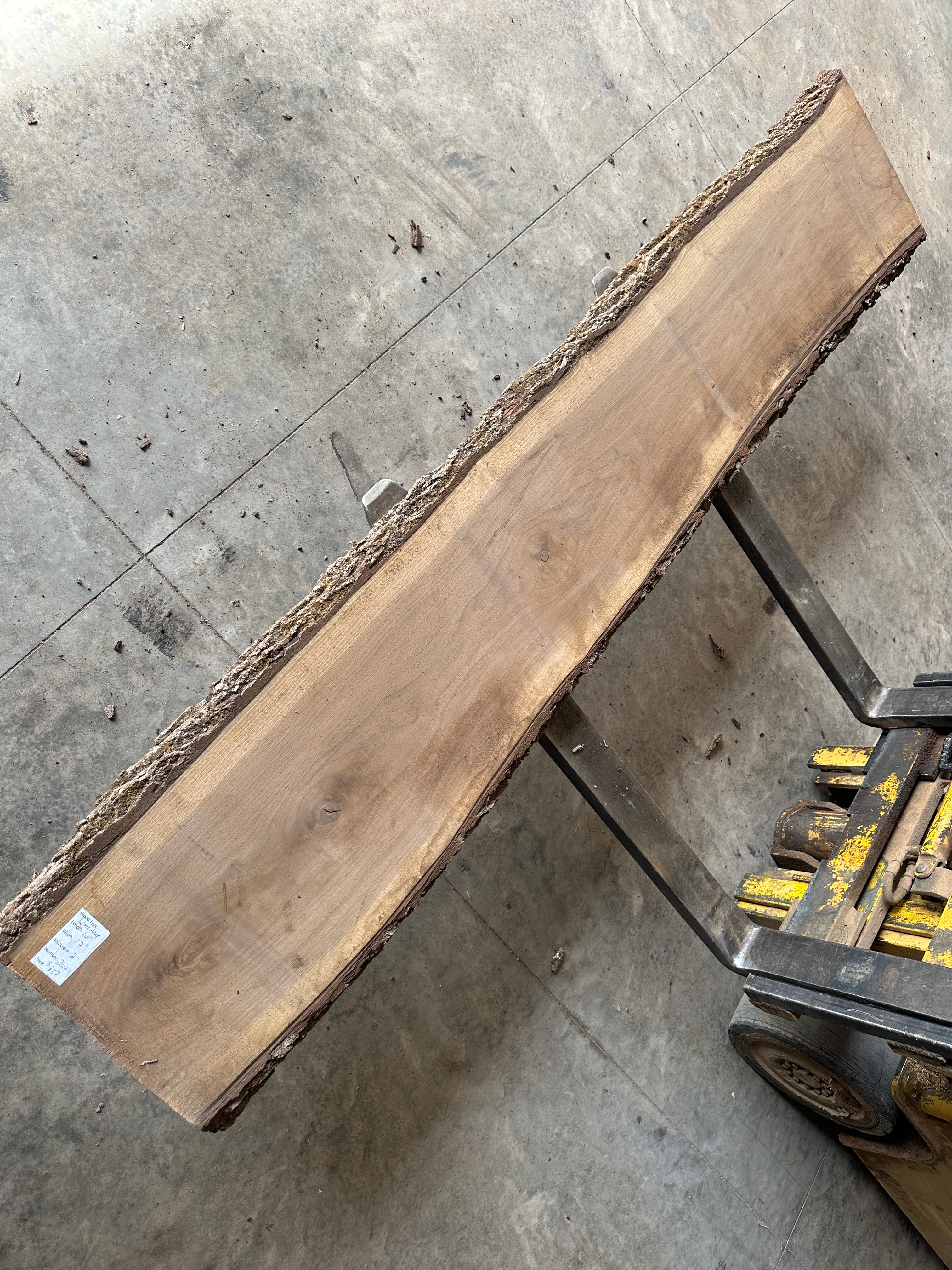 Black Walnut Slab 