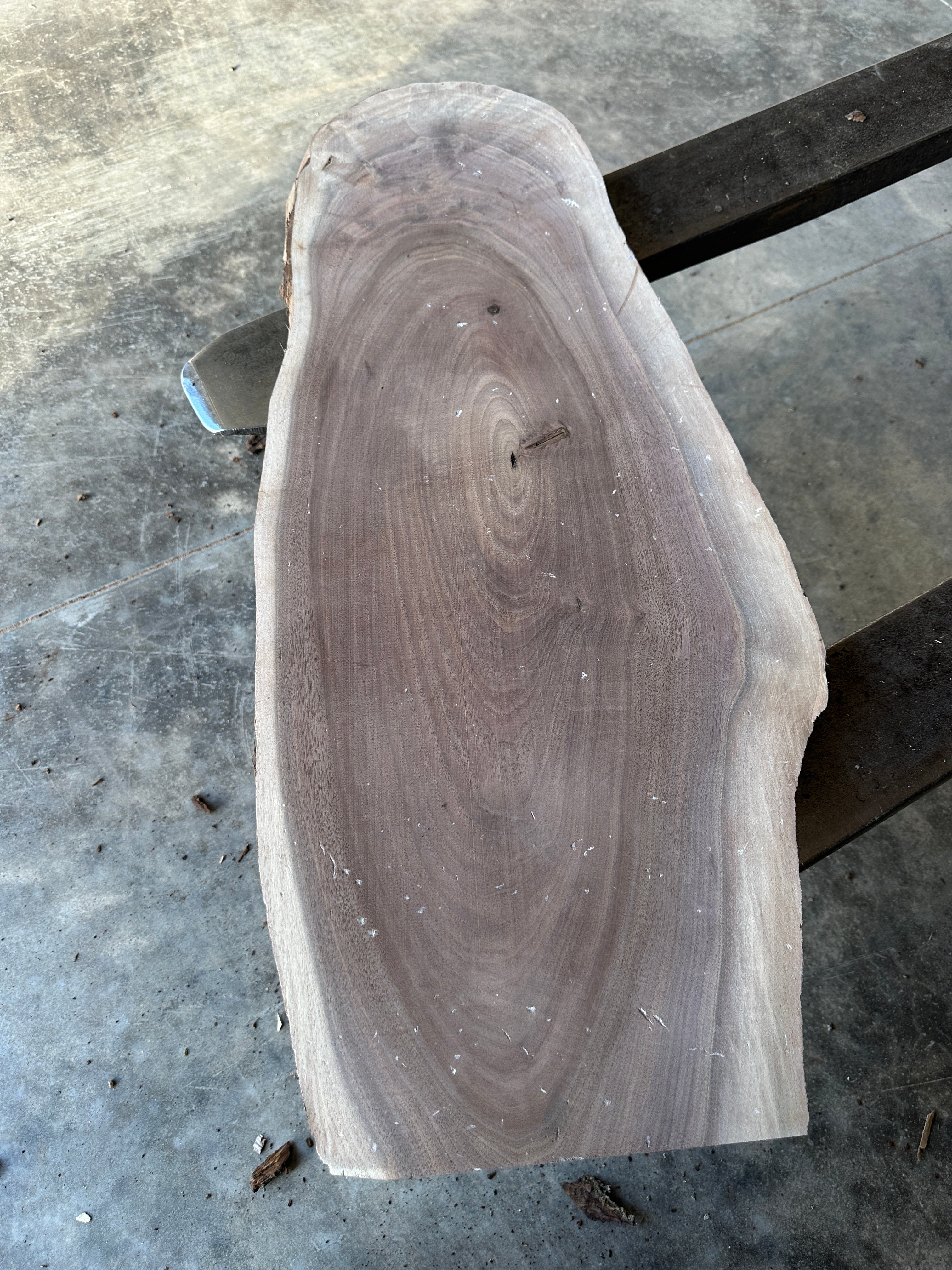 Black Walnut Live-edge slab 