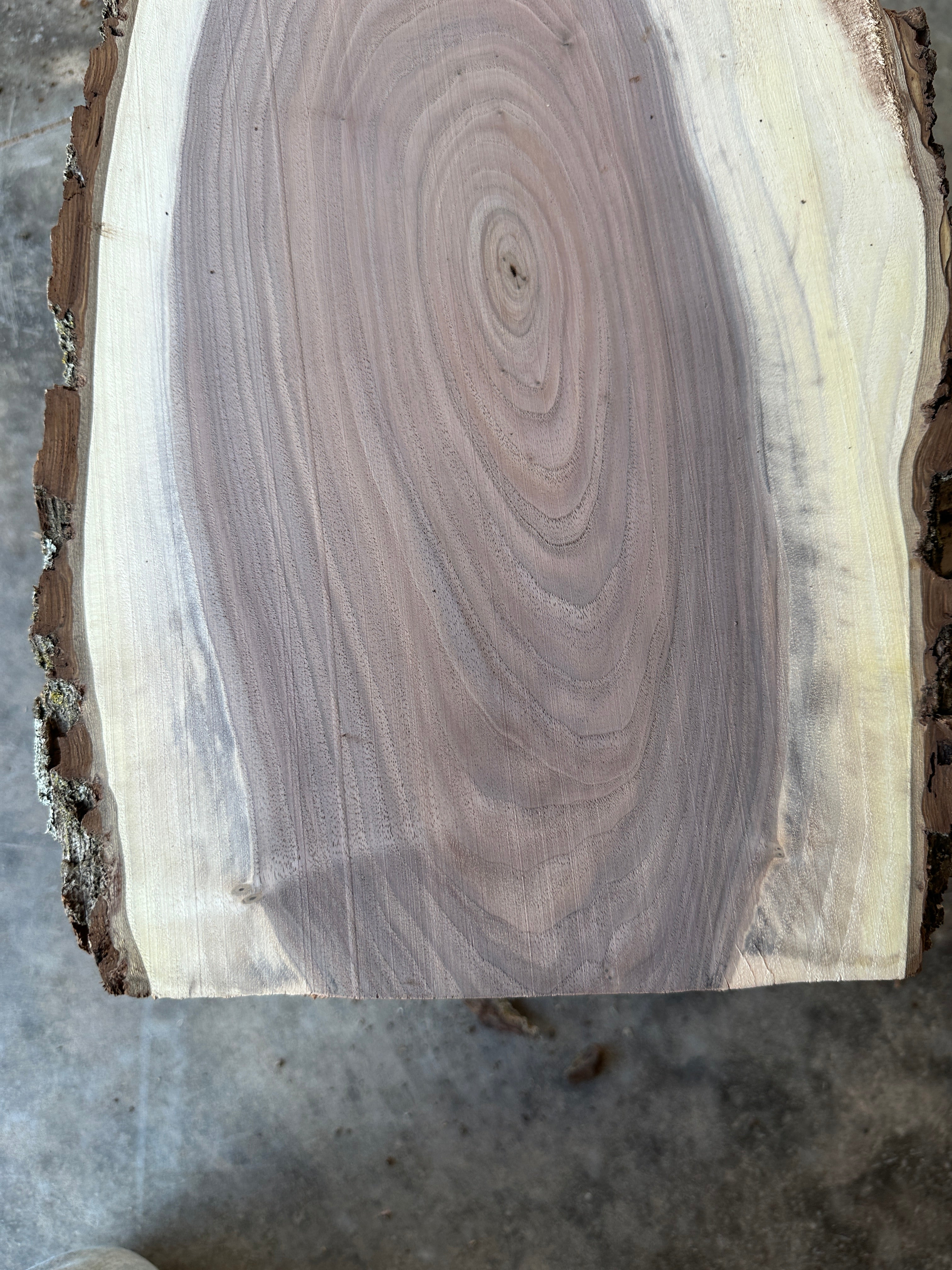 Black Walnut Live-edge slab 