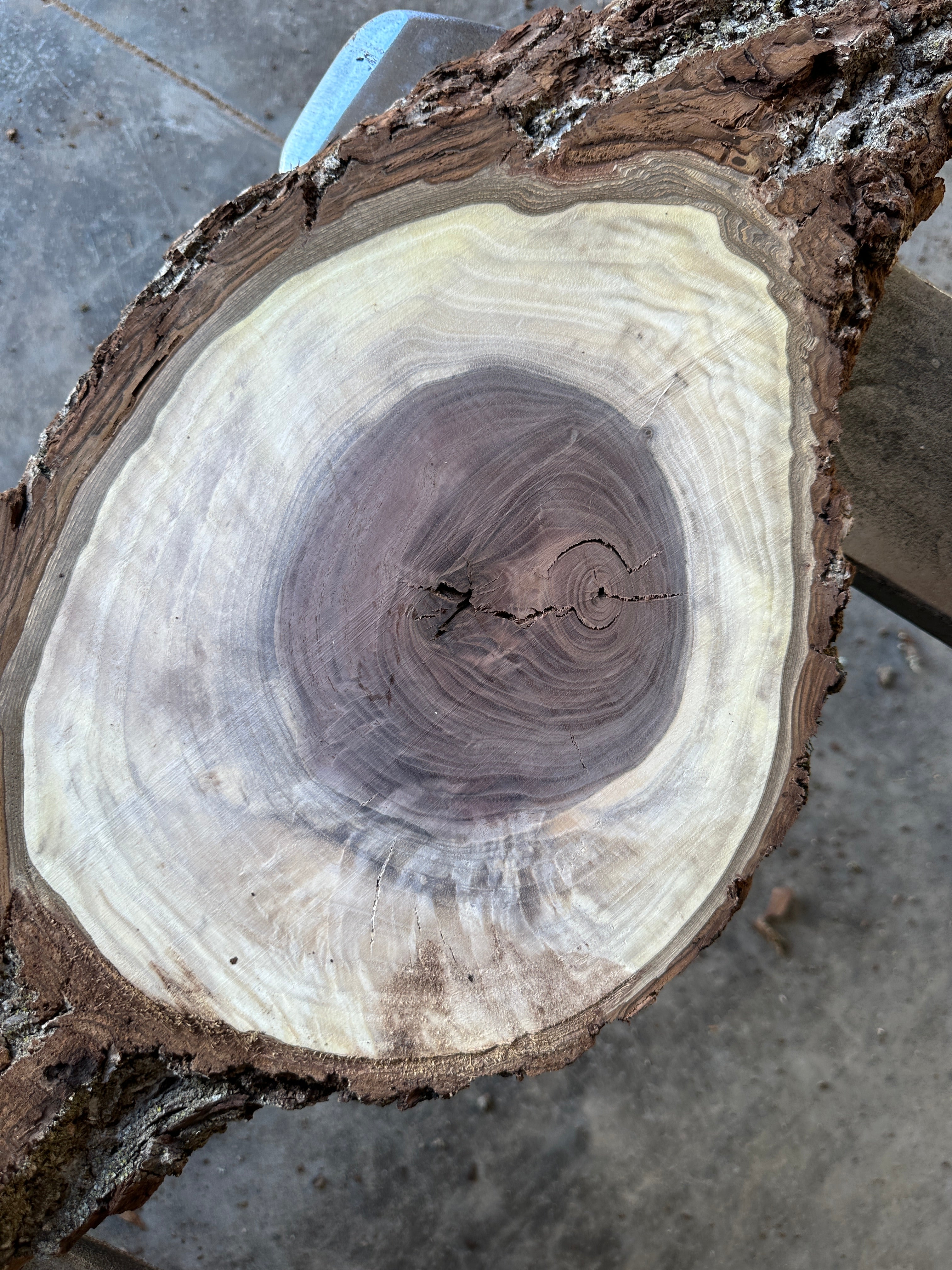 Black Walnut Live-edge slab 