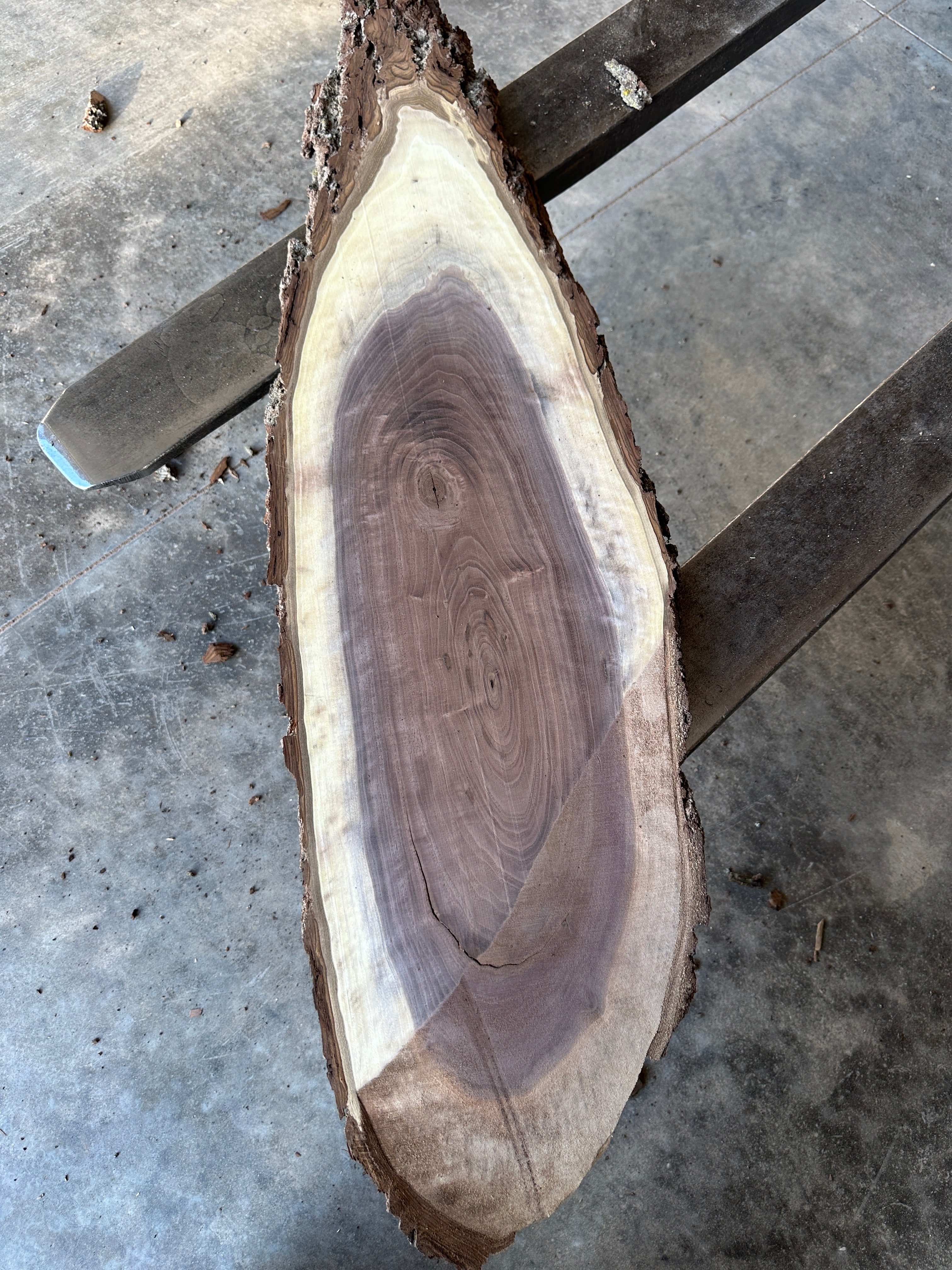 Black Walnut Live-edge 