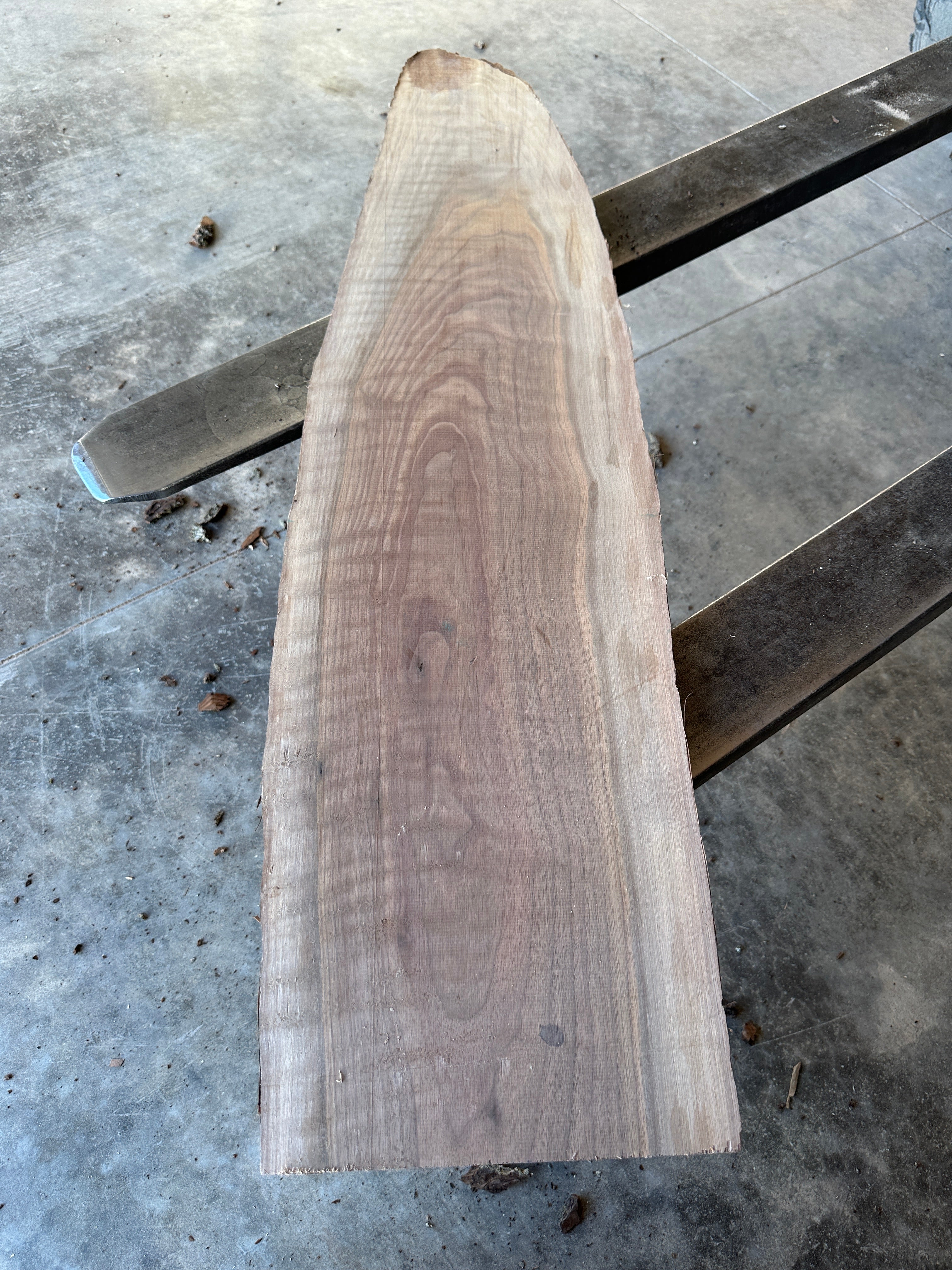 Black Walnut Live-edge slab 