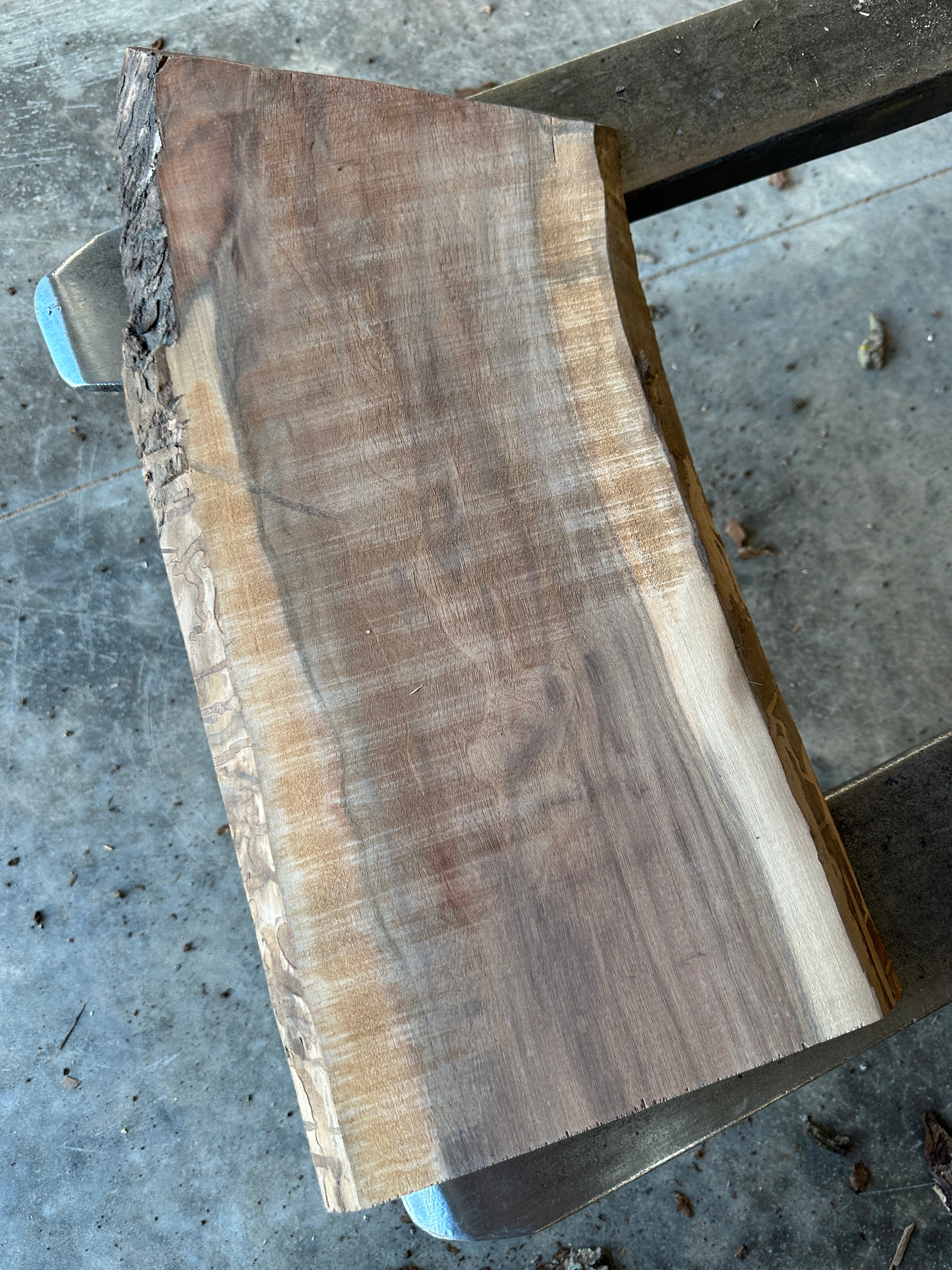 Black Walnut Live-edge slab 