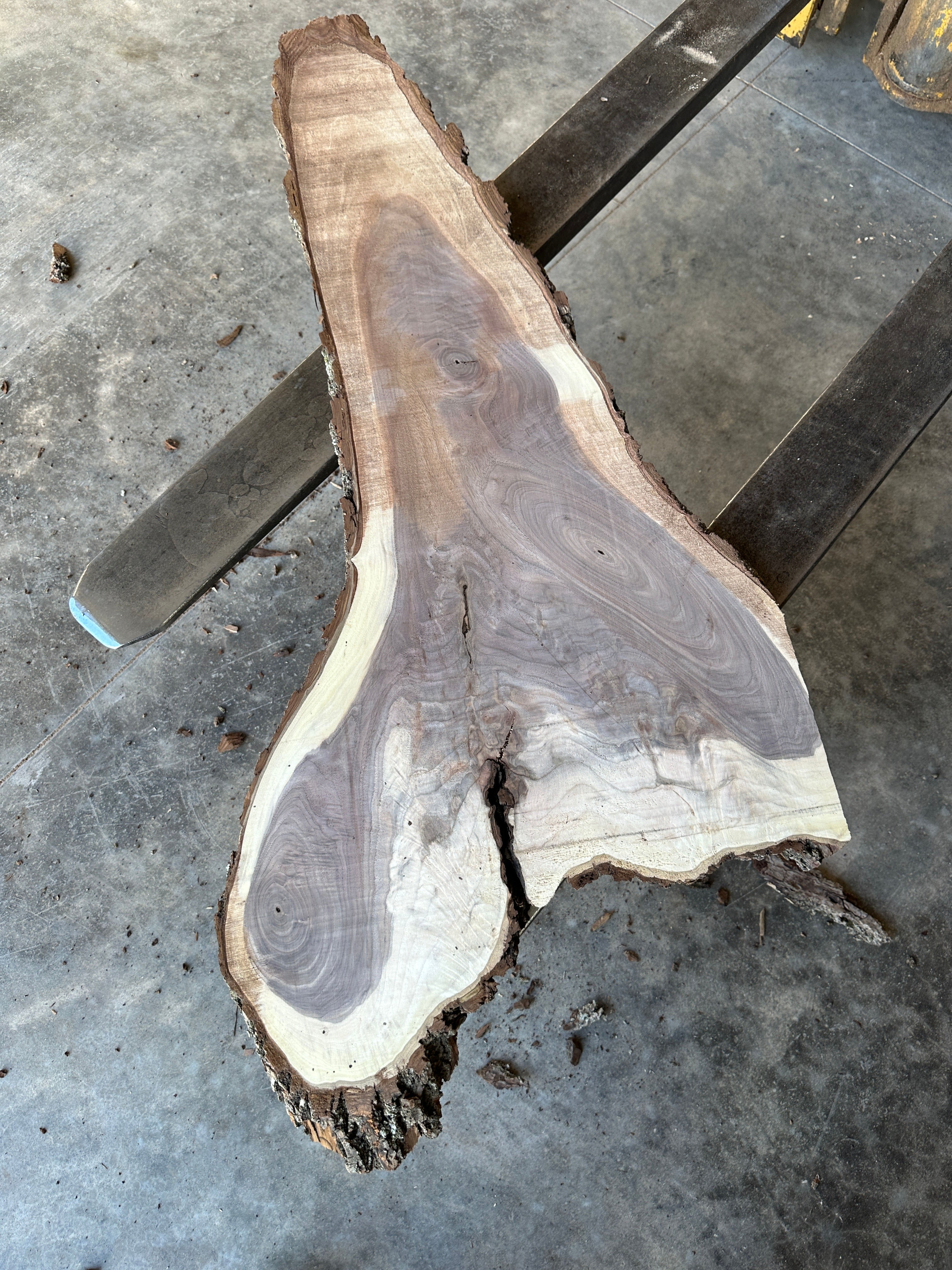 Black Walnut Live-edge Slab 