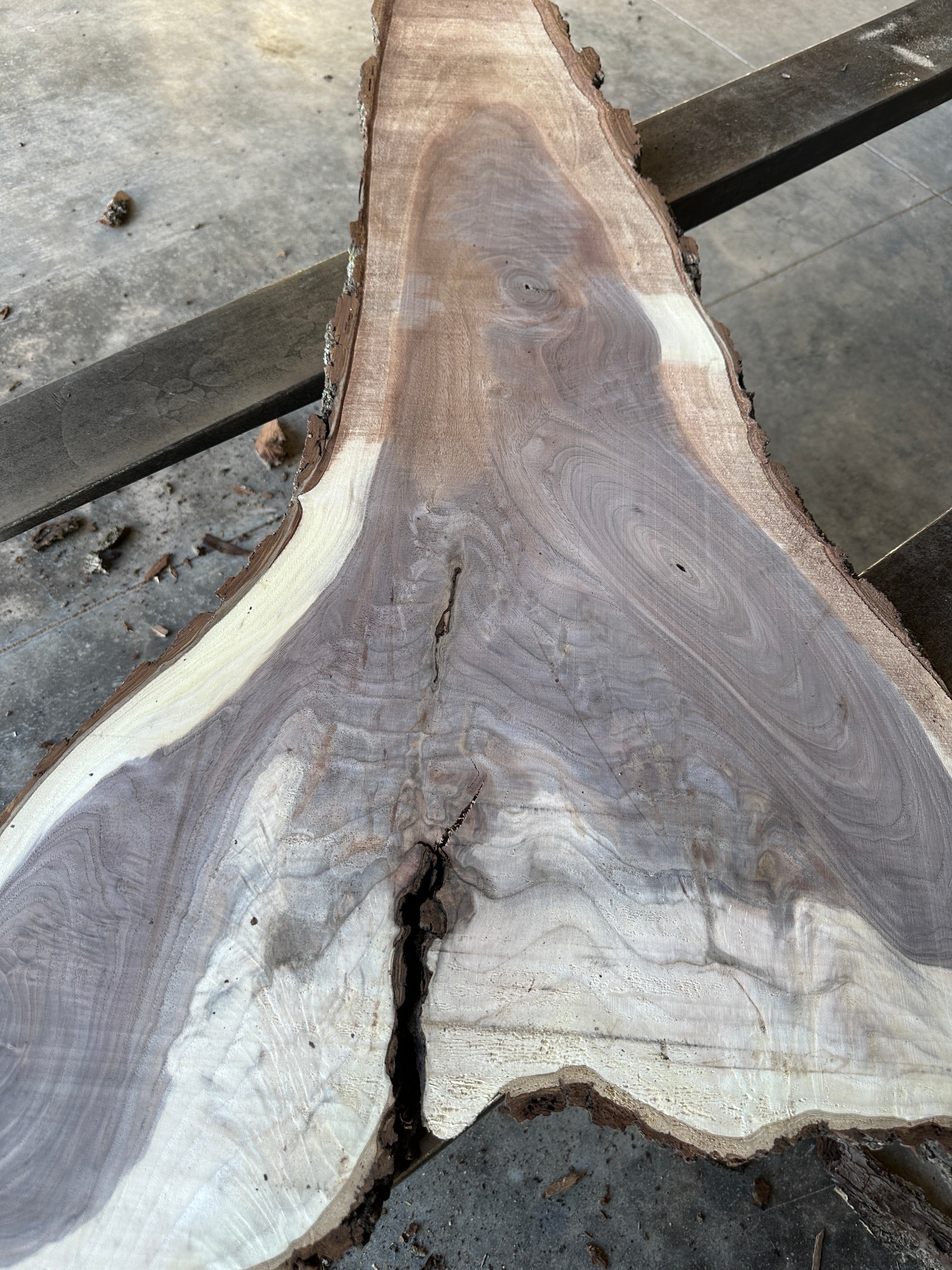 Black Walnut Live-edge Slab 