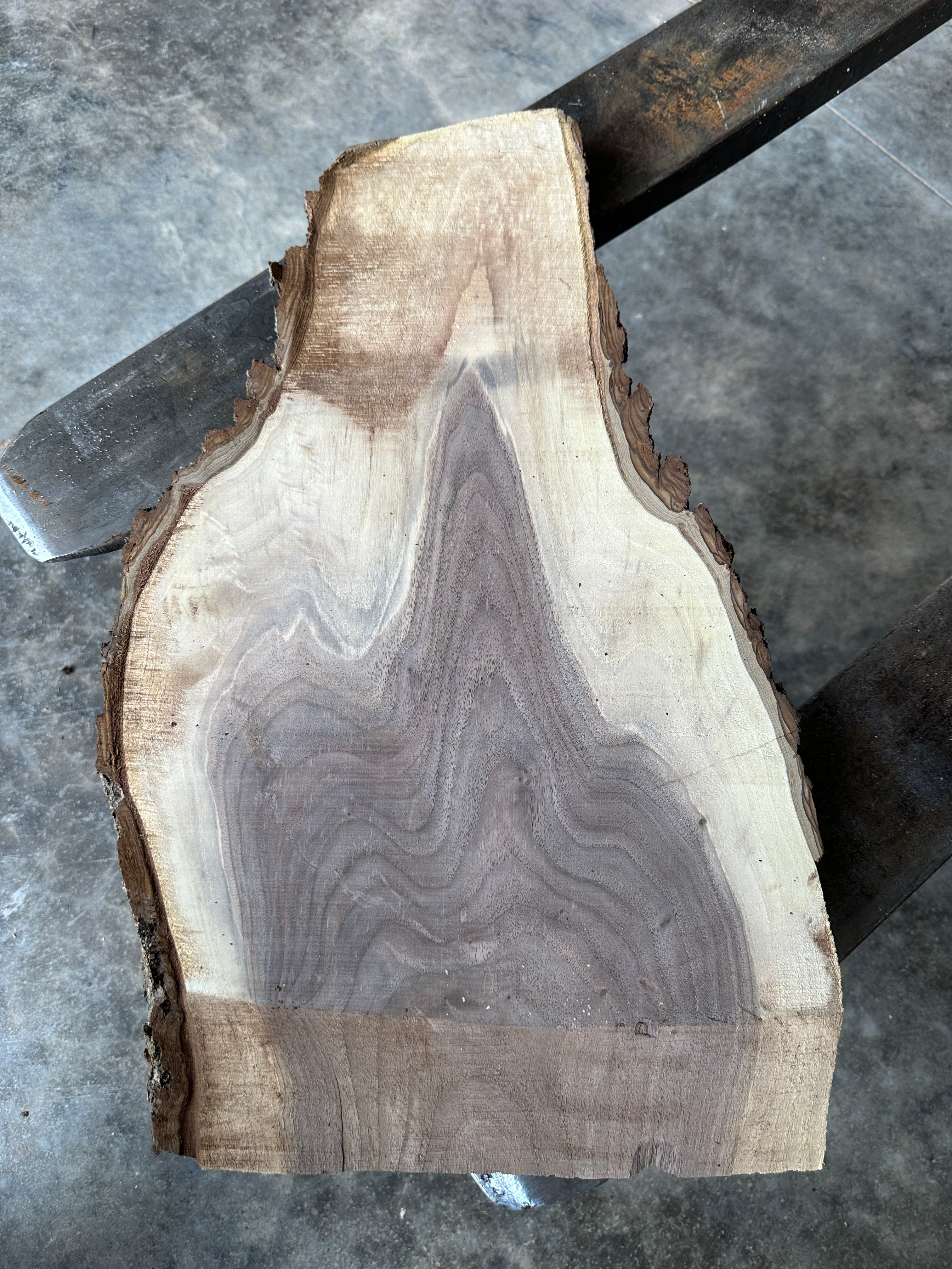 Black Walnut 