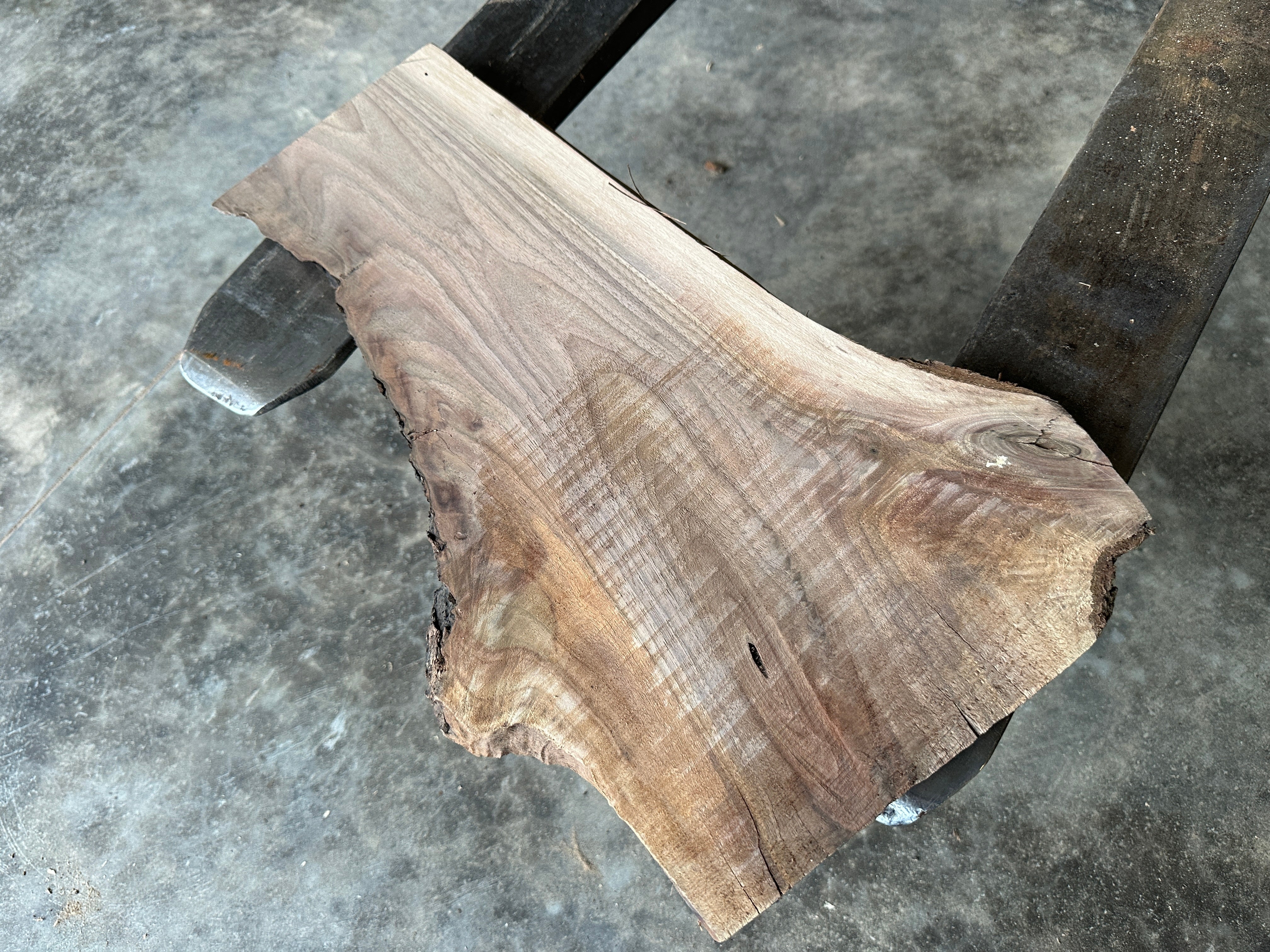 Black Walnut 