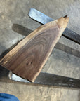 Black Walnut Slab 