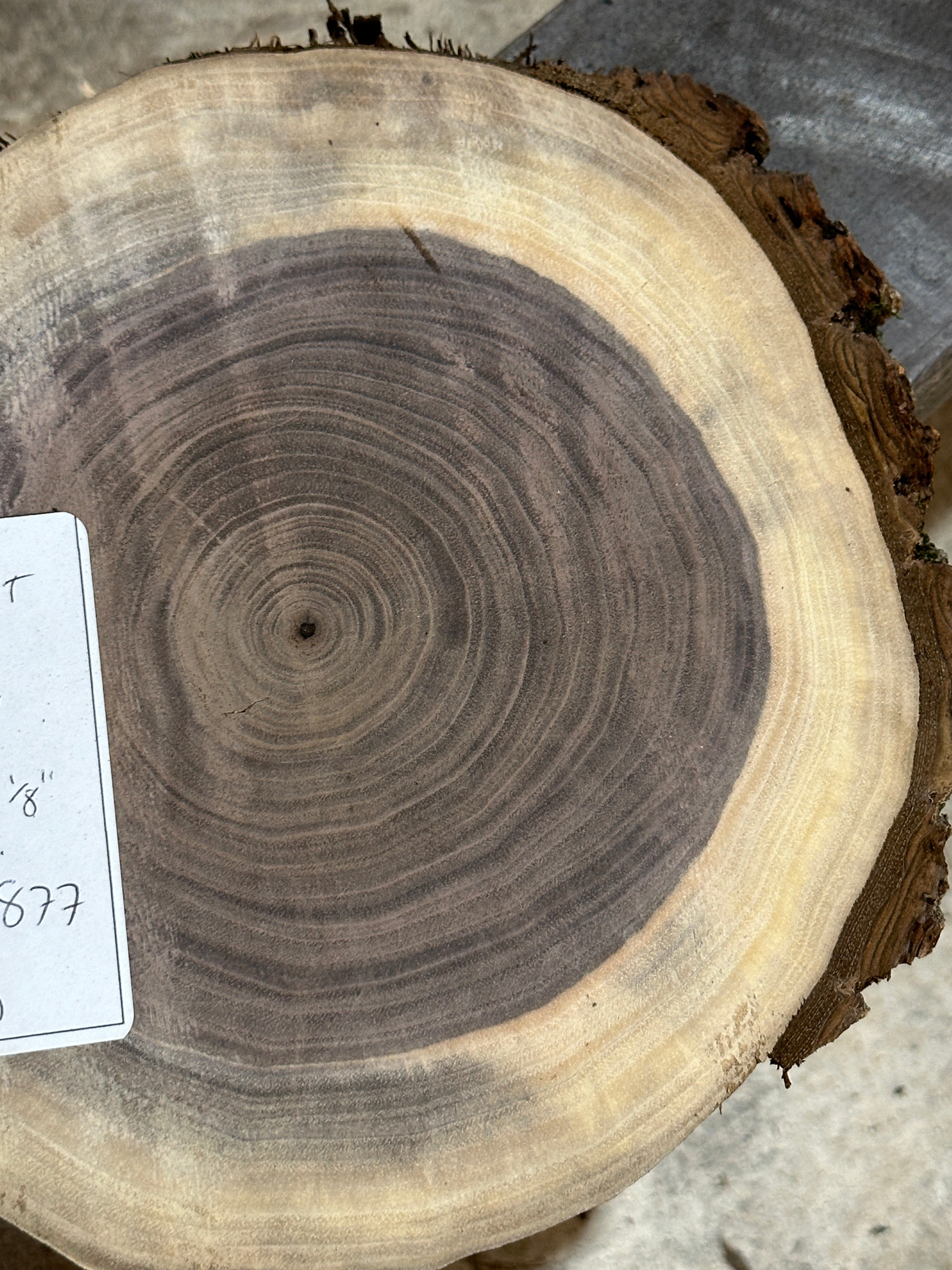 Black Walnut Cross Section Diagrammatic Anatomy Of Walnut Fruit. (A)