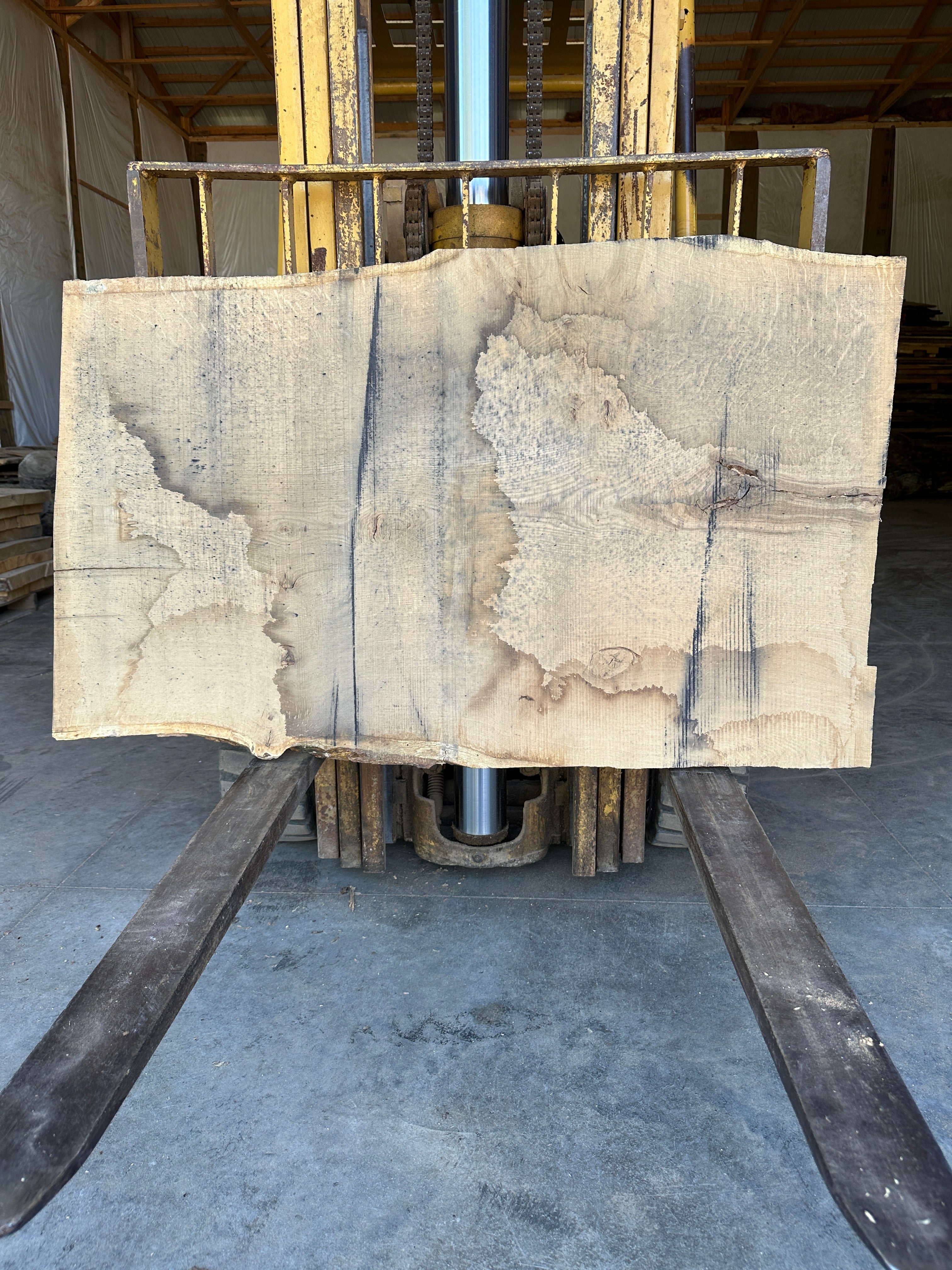 White Oak Slab 
