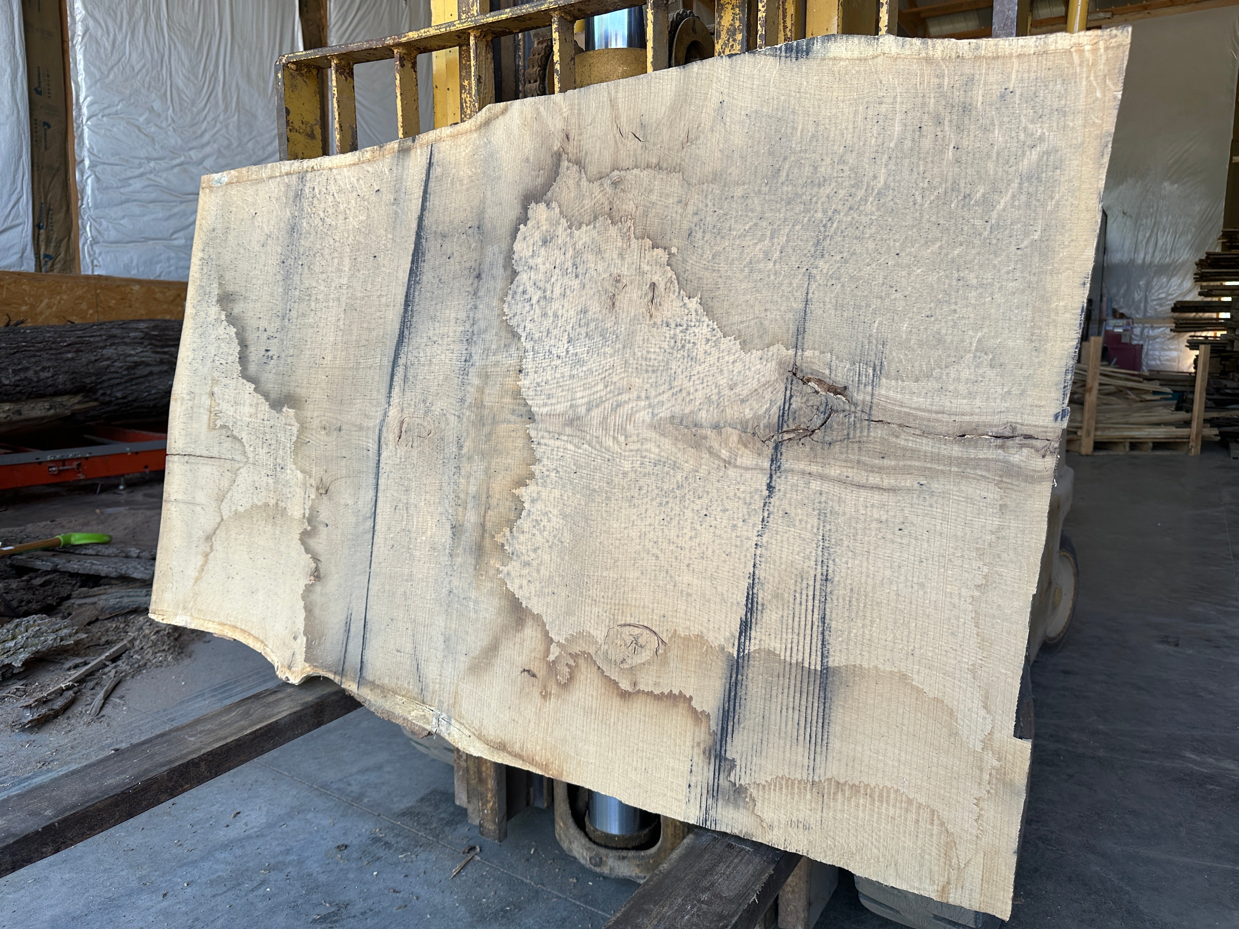 White Oak Slab 