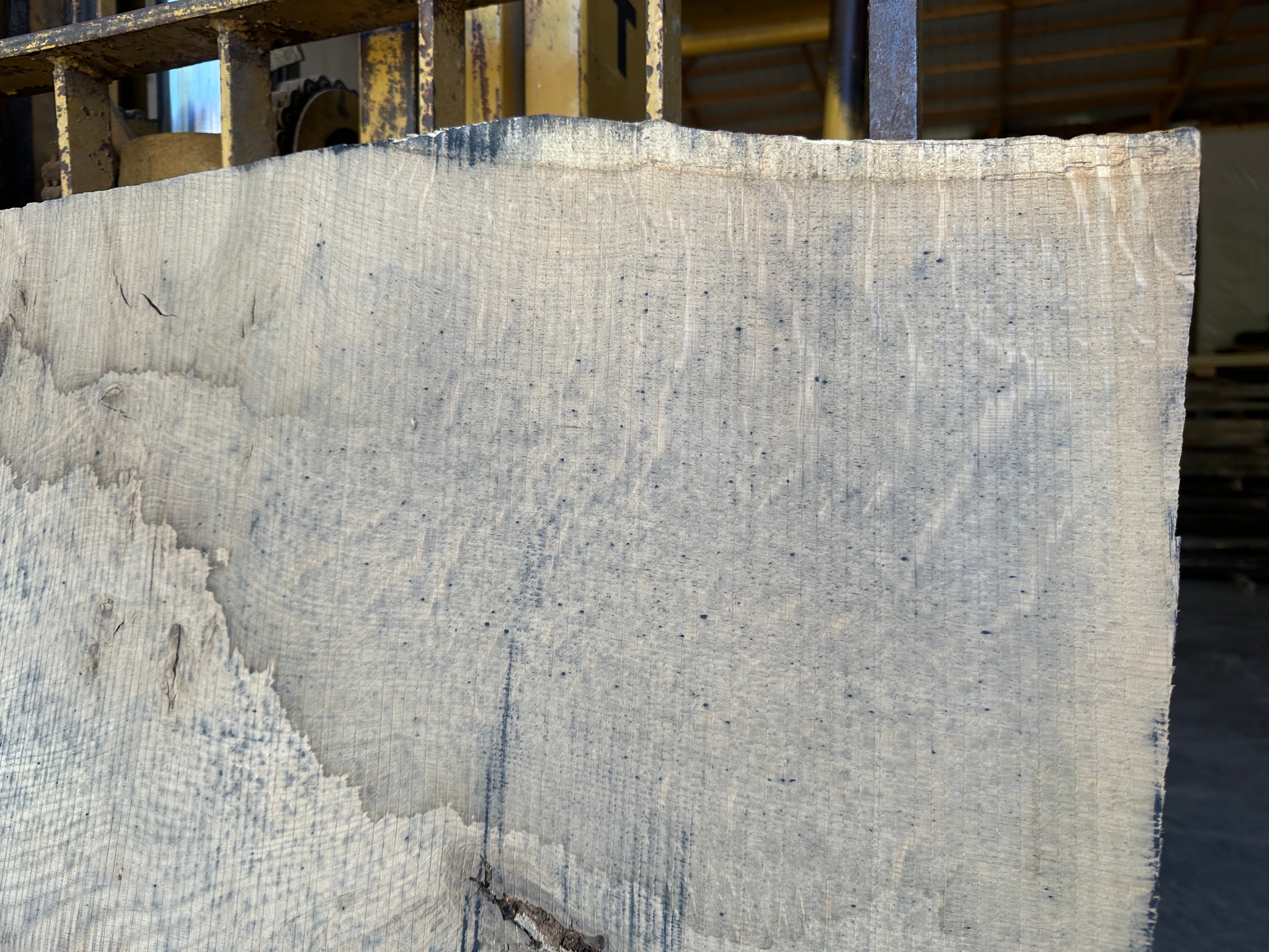 White Oak Slab 