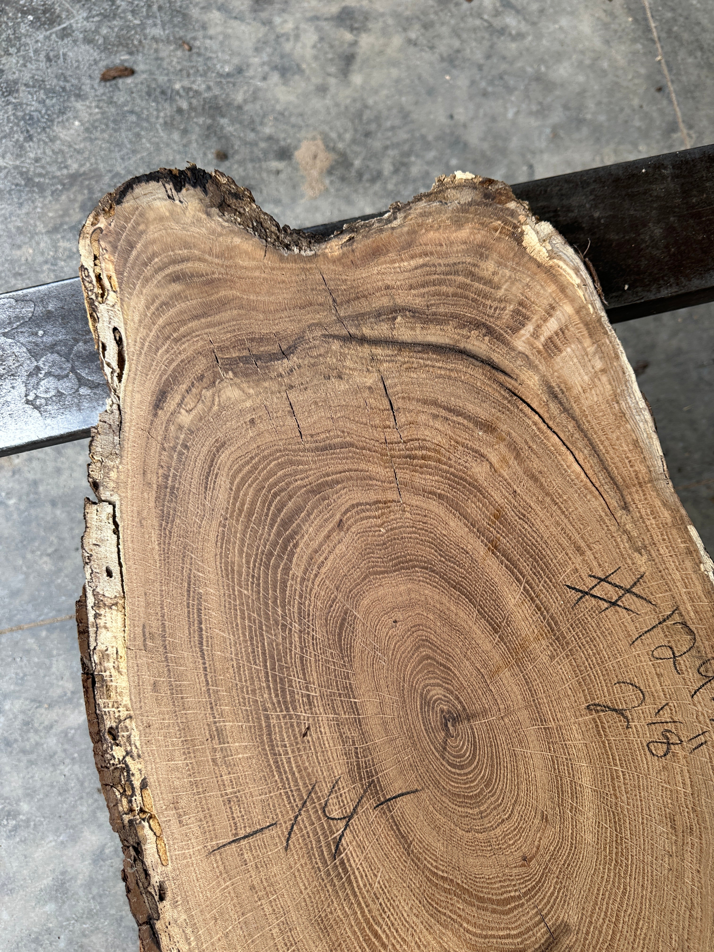 White Oak cookie slab 