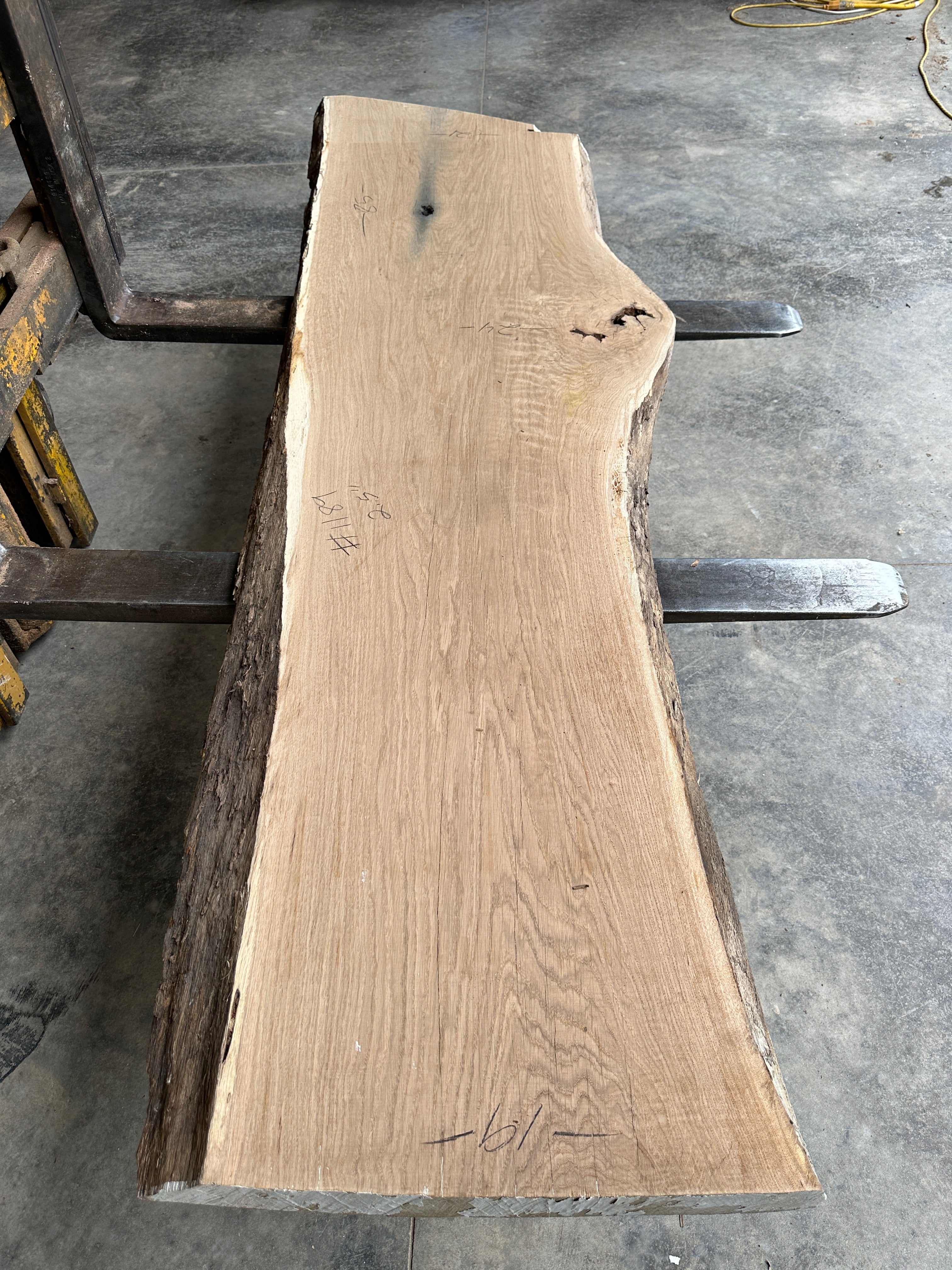 White Oak Lumber Slab 