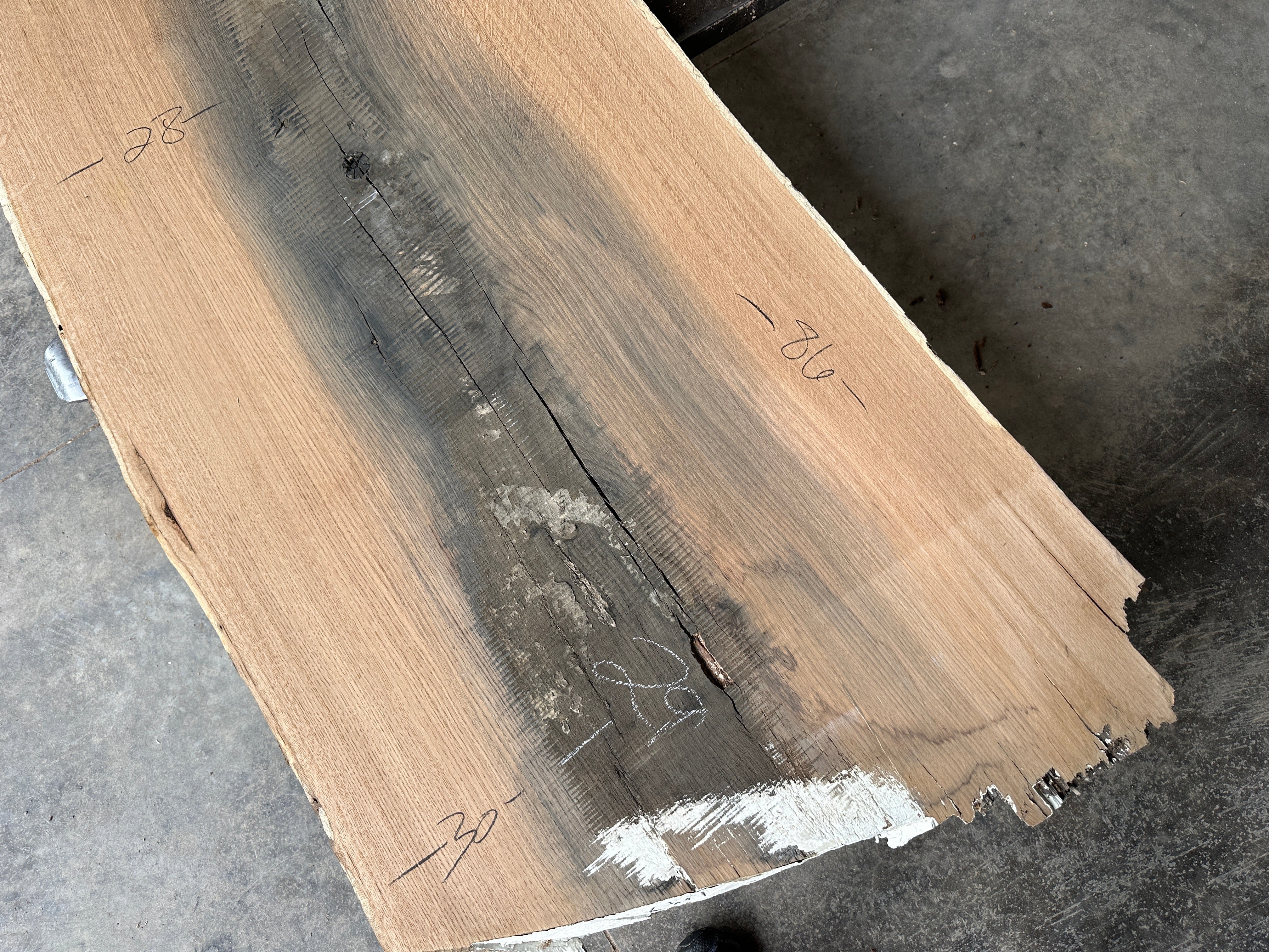 White Oak Lumber Slab 