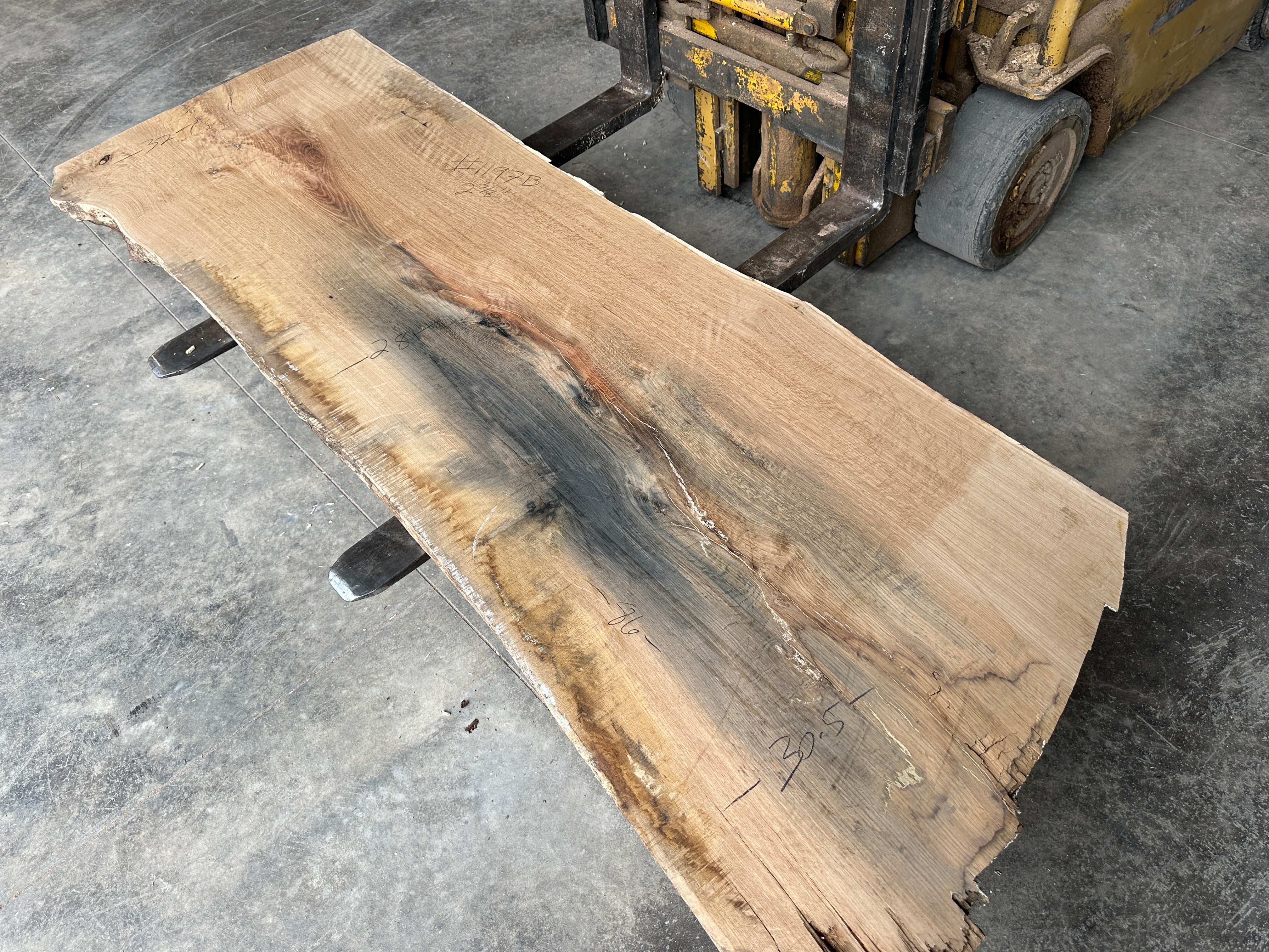 White Oak Lumber Slab 