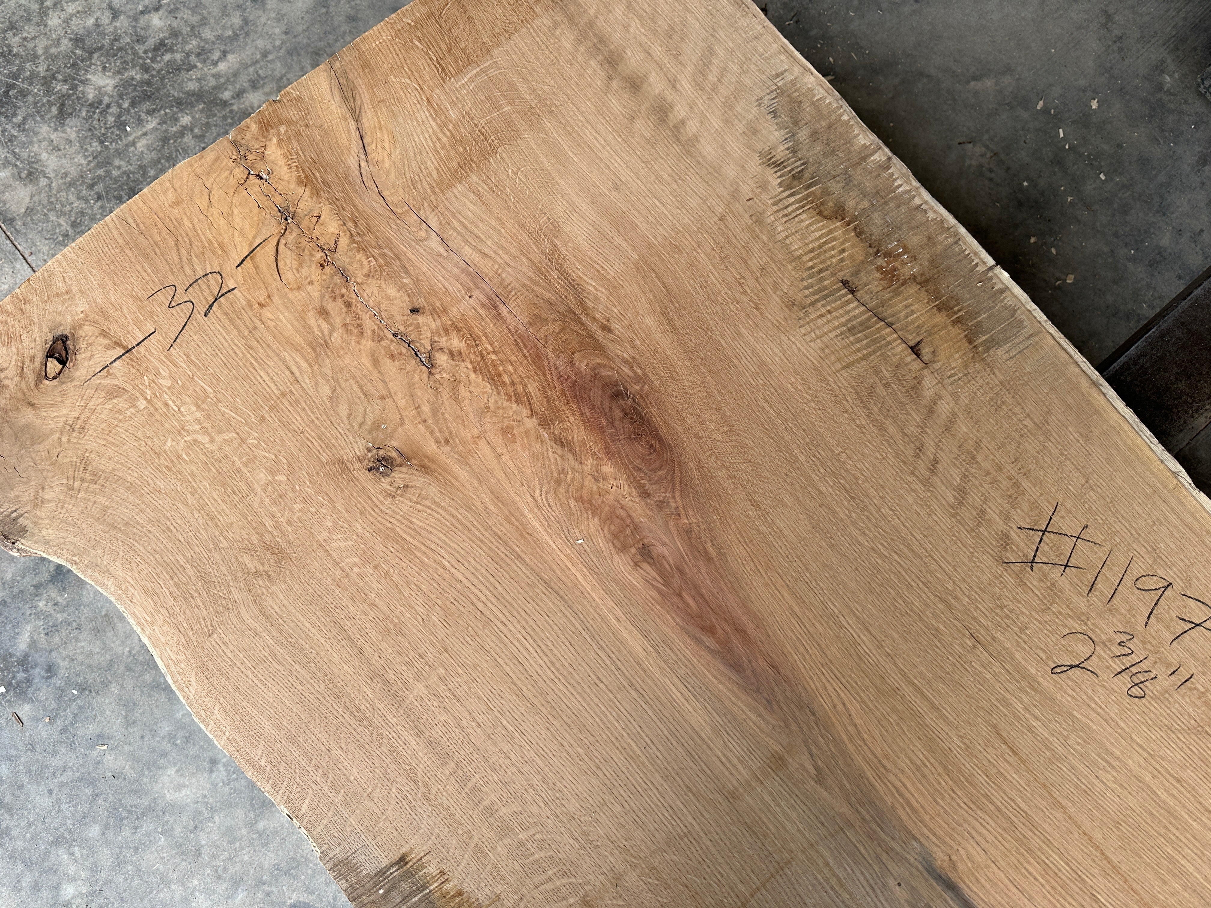 White Oak Lumber Slab 