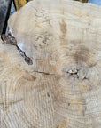 Elm cookie live-edge slab 