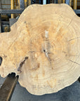 Elm cookie live-edge slab 