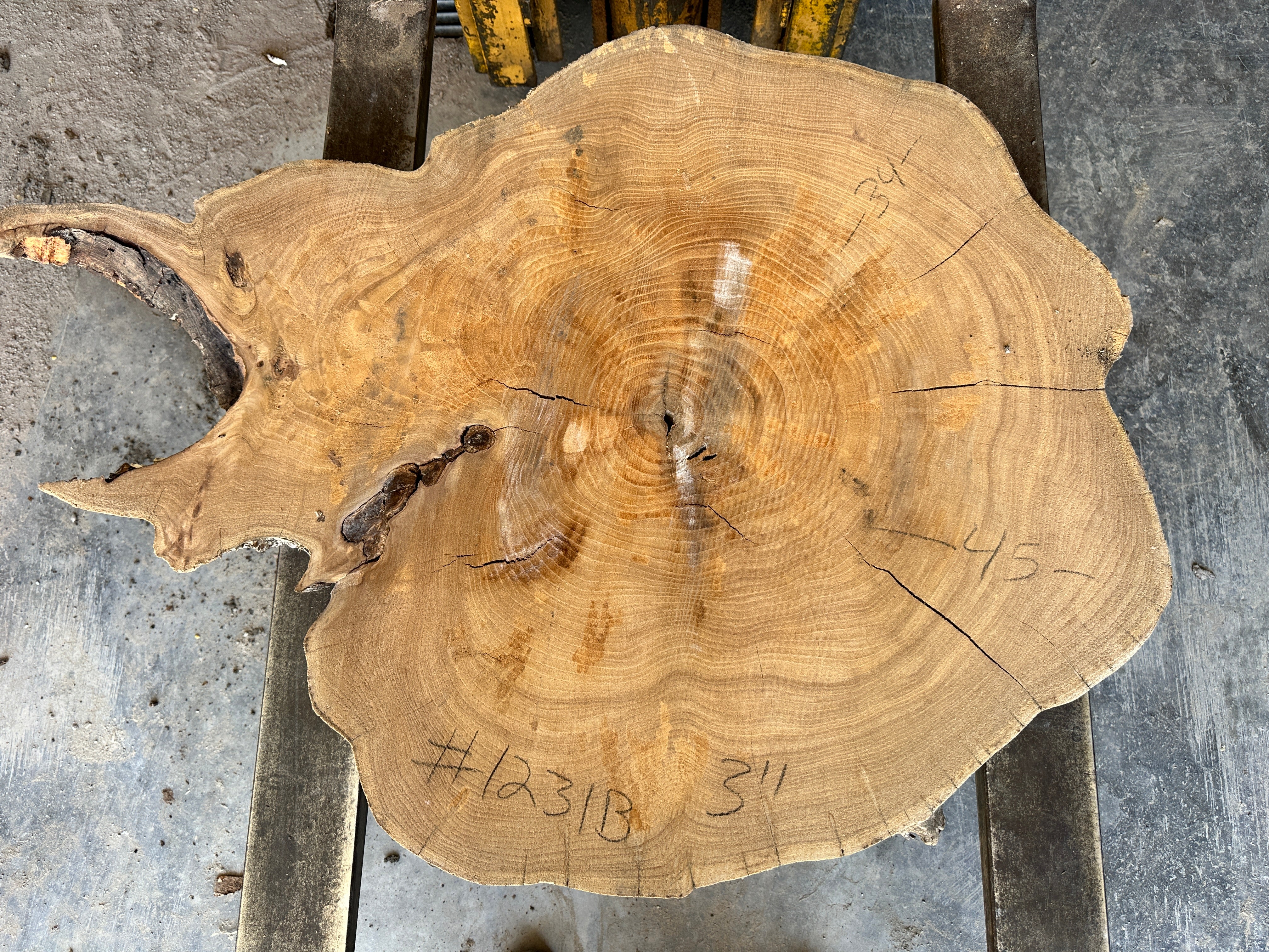 Elm cookie live-edge slab 