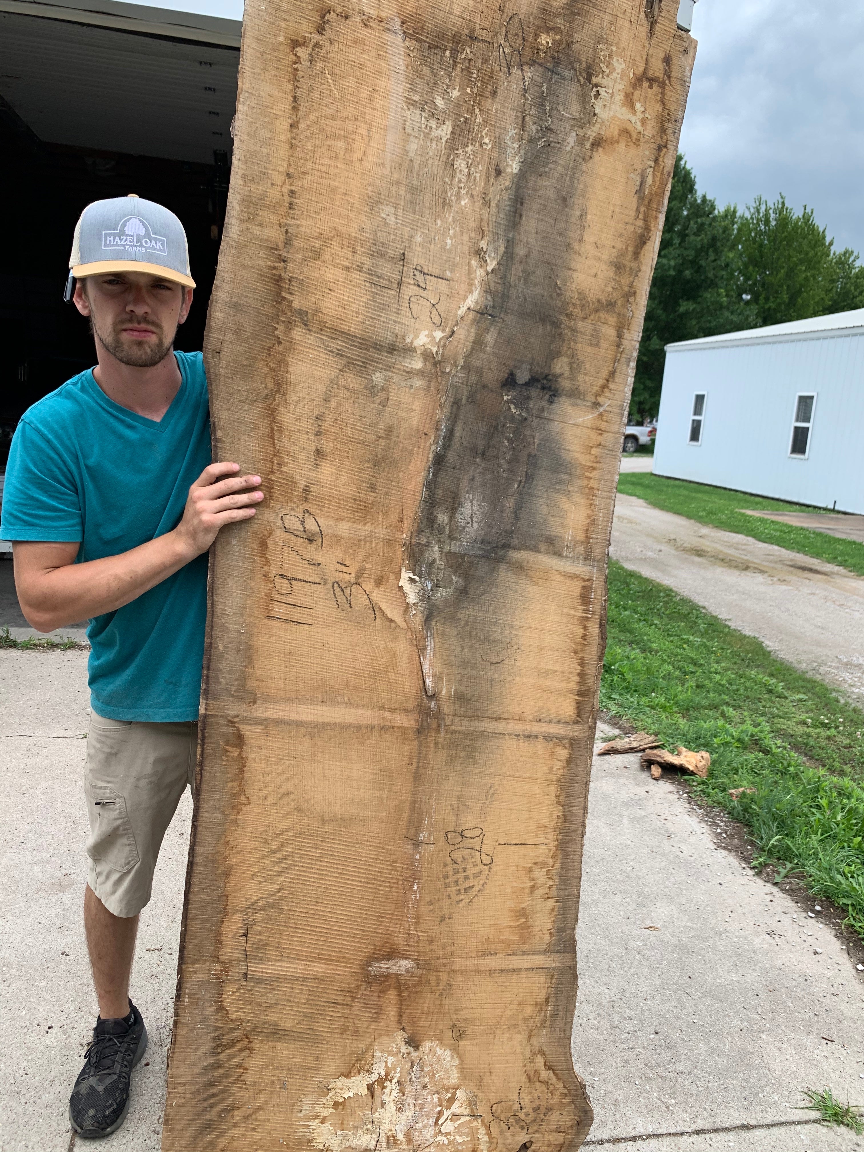 White Oak Lumber Slab Wood