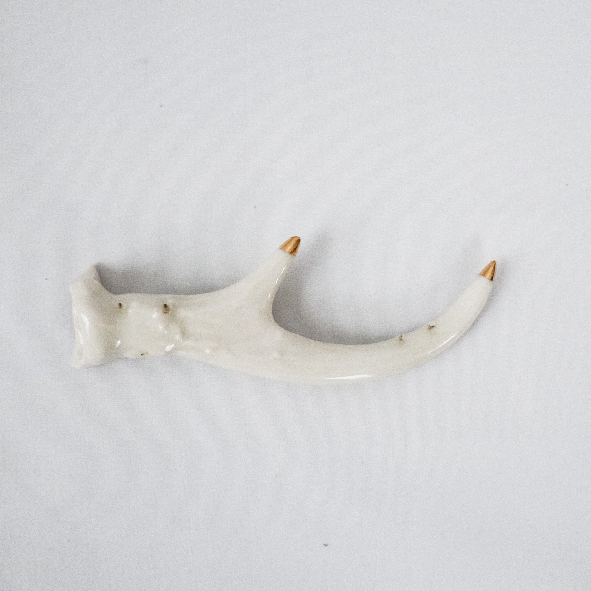 Gold Tipped White Porcelain Deer Antler