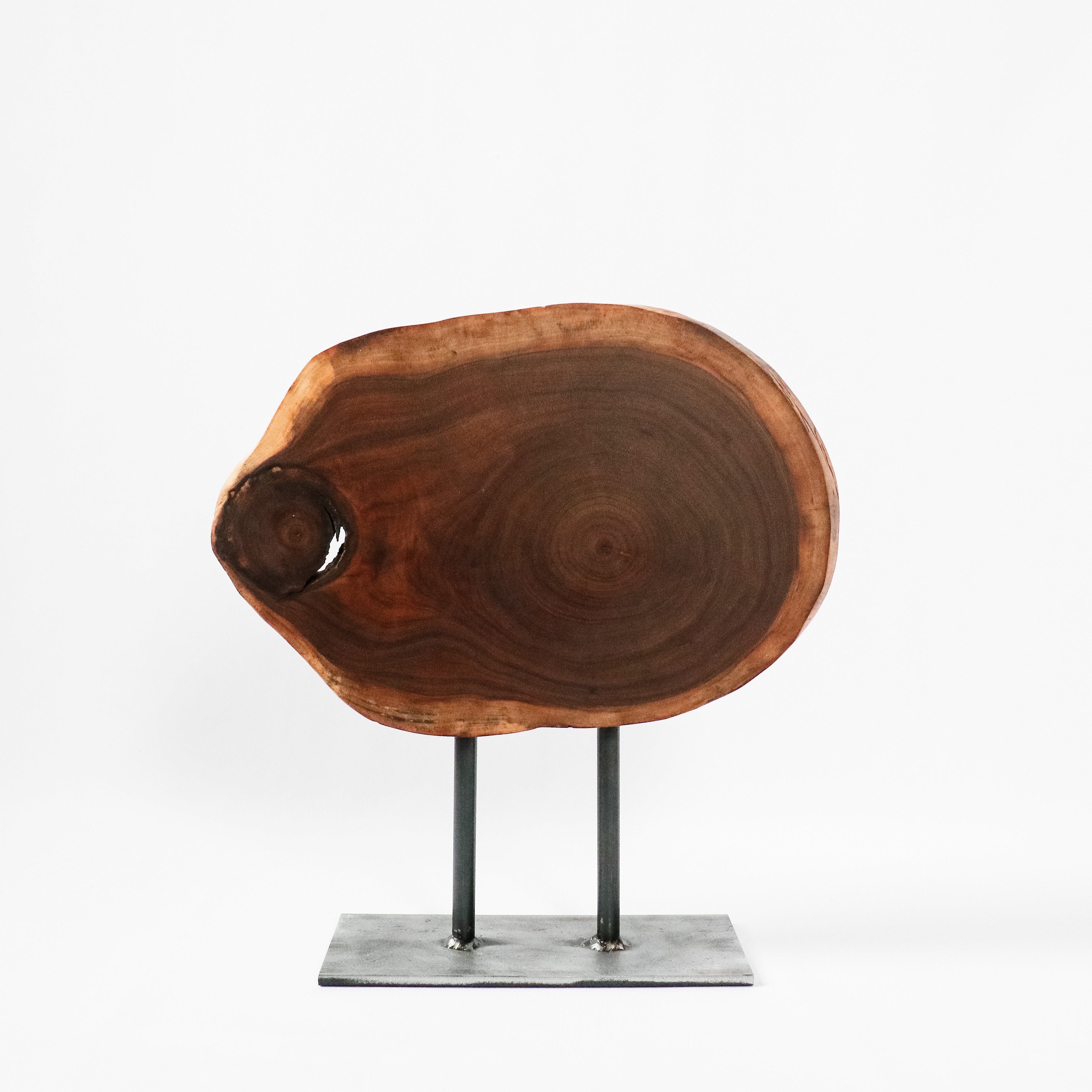 Wood Slice on Stand