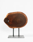 Wood Slice on Stand