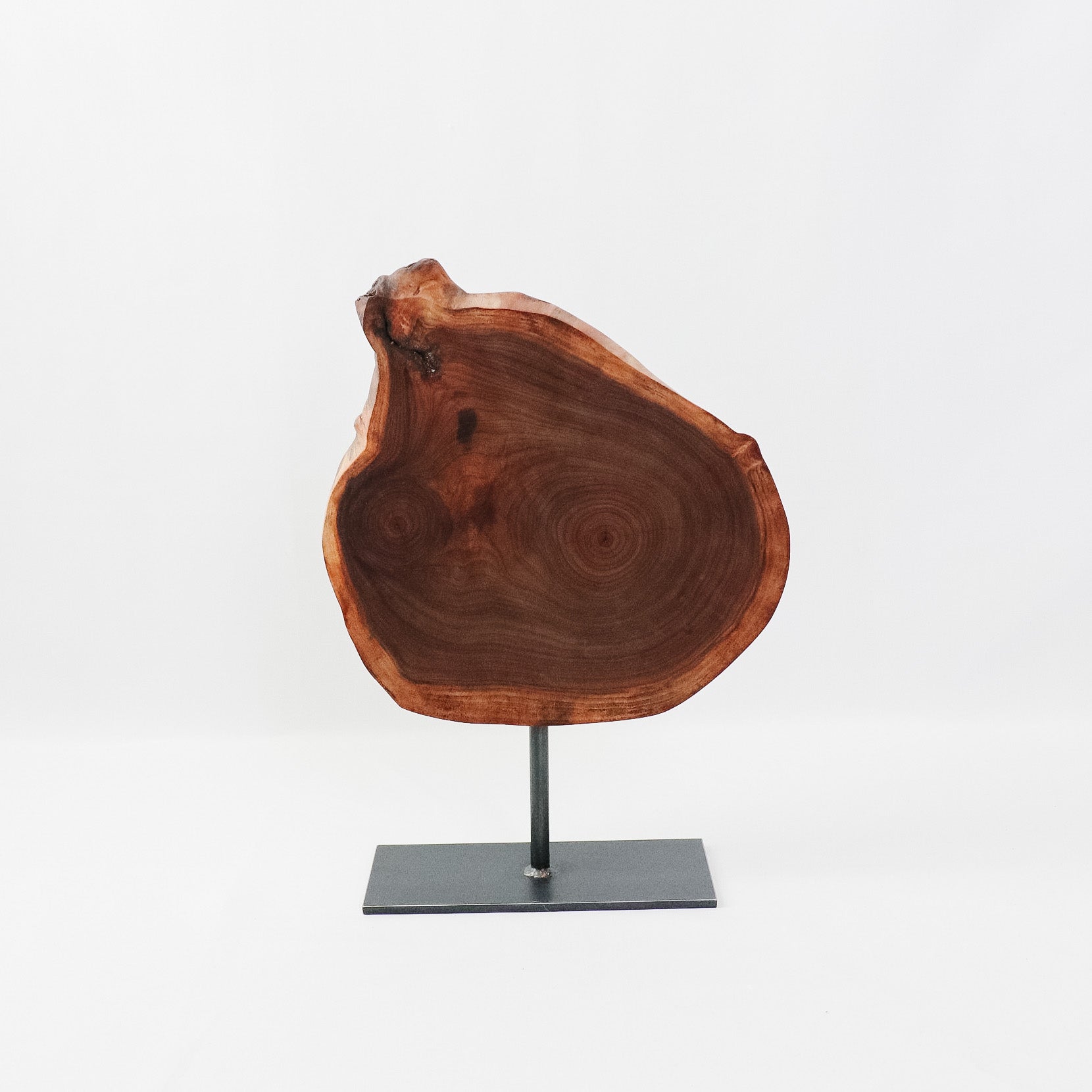 Wood Slice on Stand