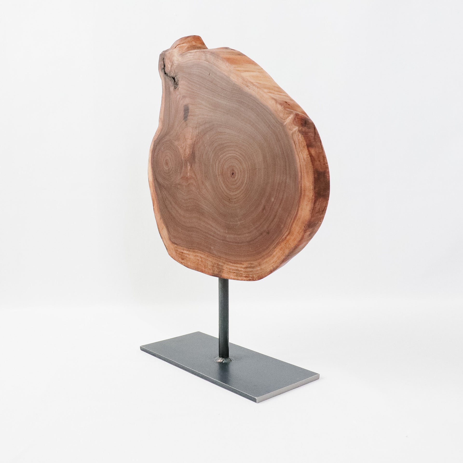 Walnut Wood Slice on Stand | Hazel Oak Farms