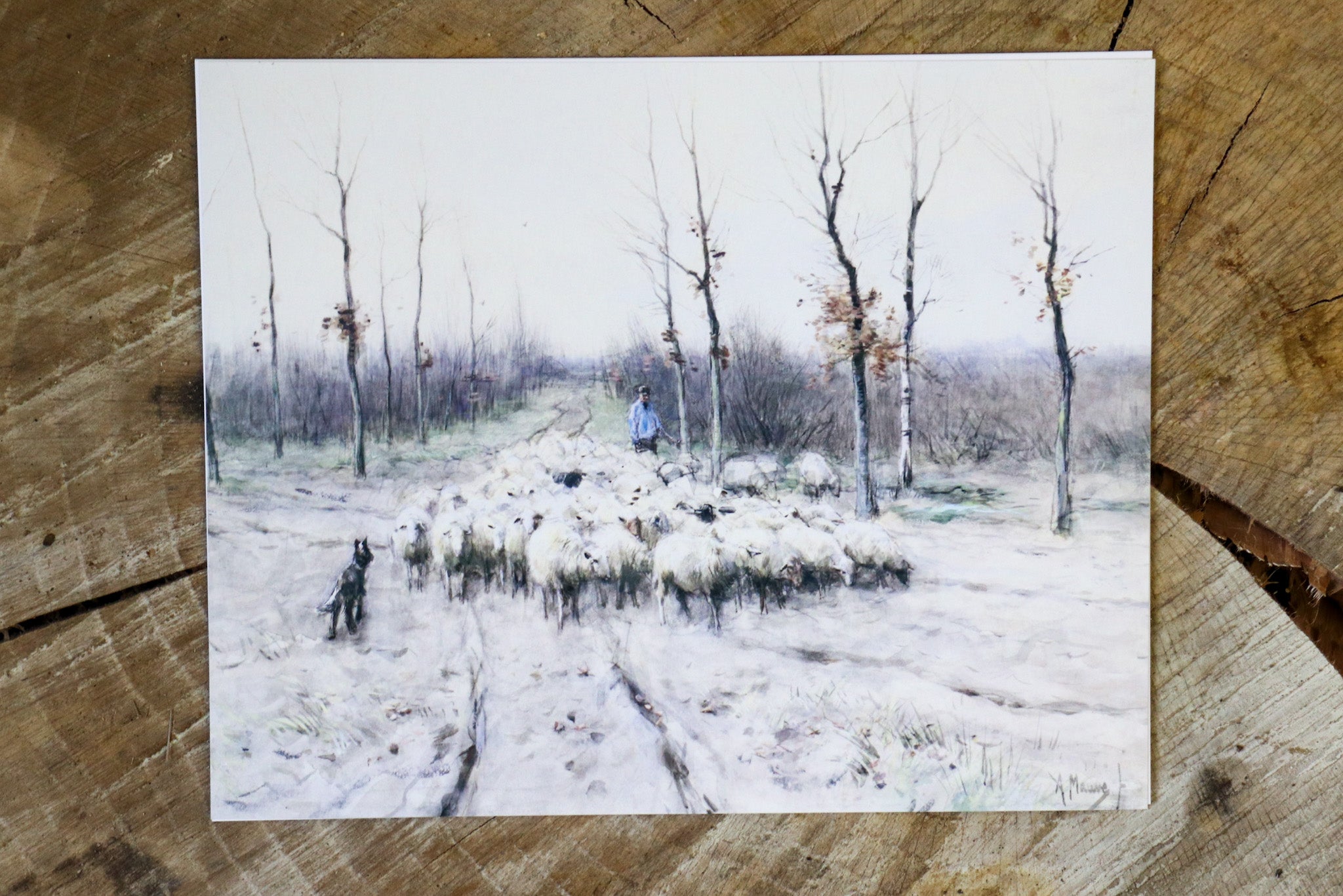 Vintage Art Print - Flock of Sheep (in stock) - Hazel Oak Farms
