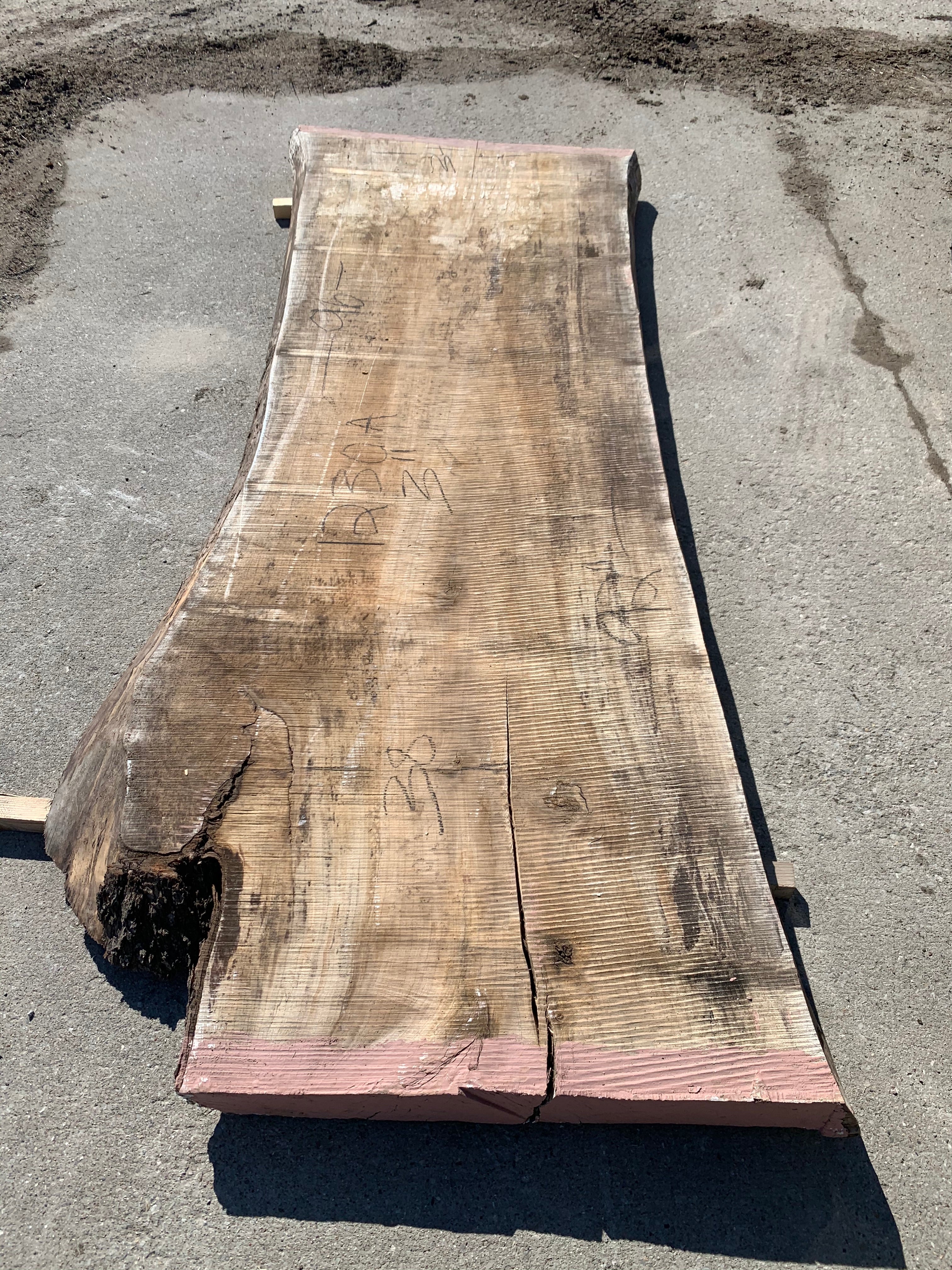 Spalted Soft Maple Slab #1230 Sawmill, mill, lumber, live edge slabs, mantles, floating shelves, wood, logs, log buyer