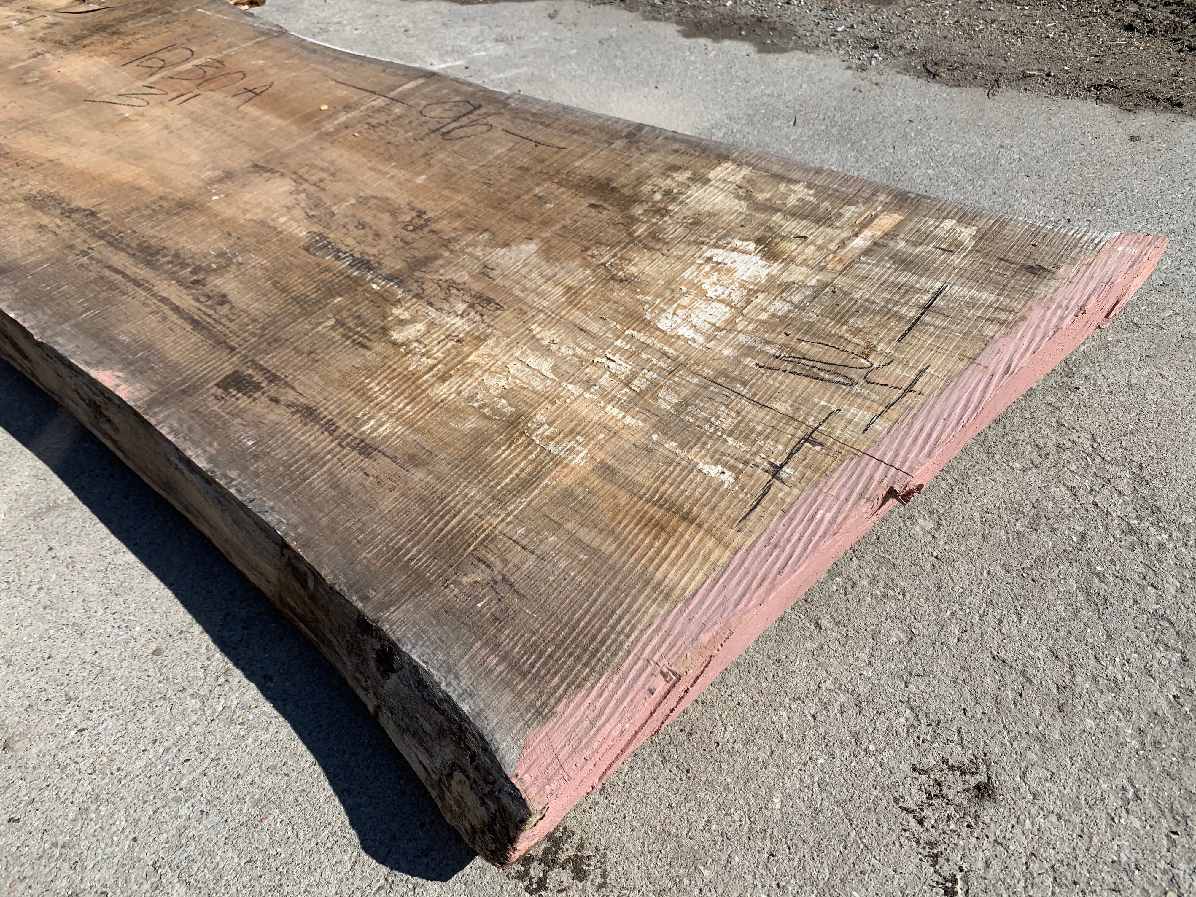 Spalted Soft Maple Slab 