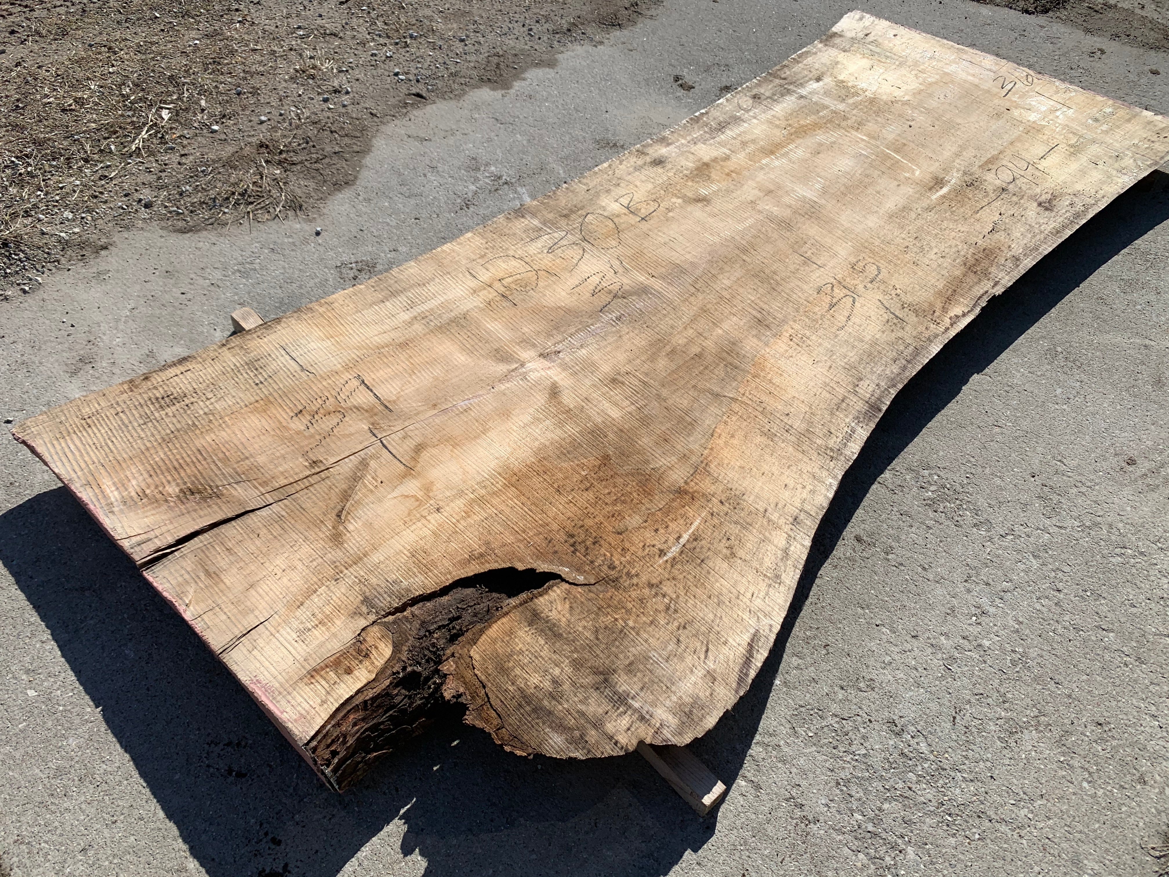 Spalted Soft Maple Slab 