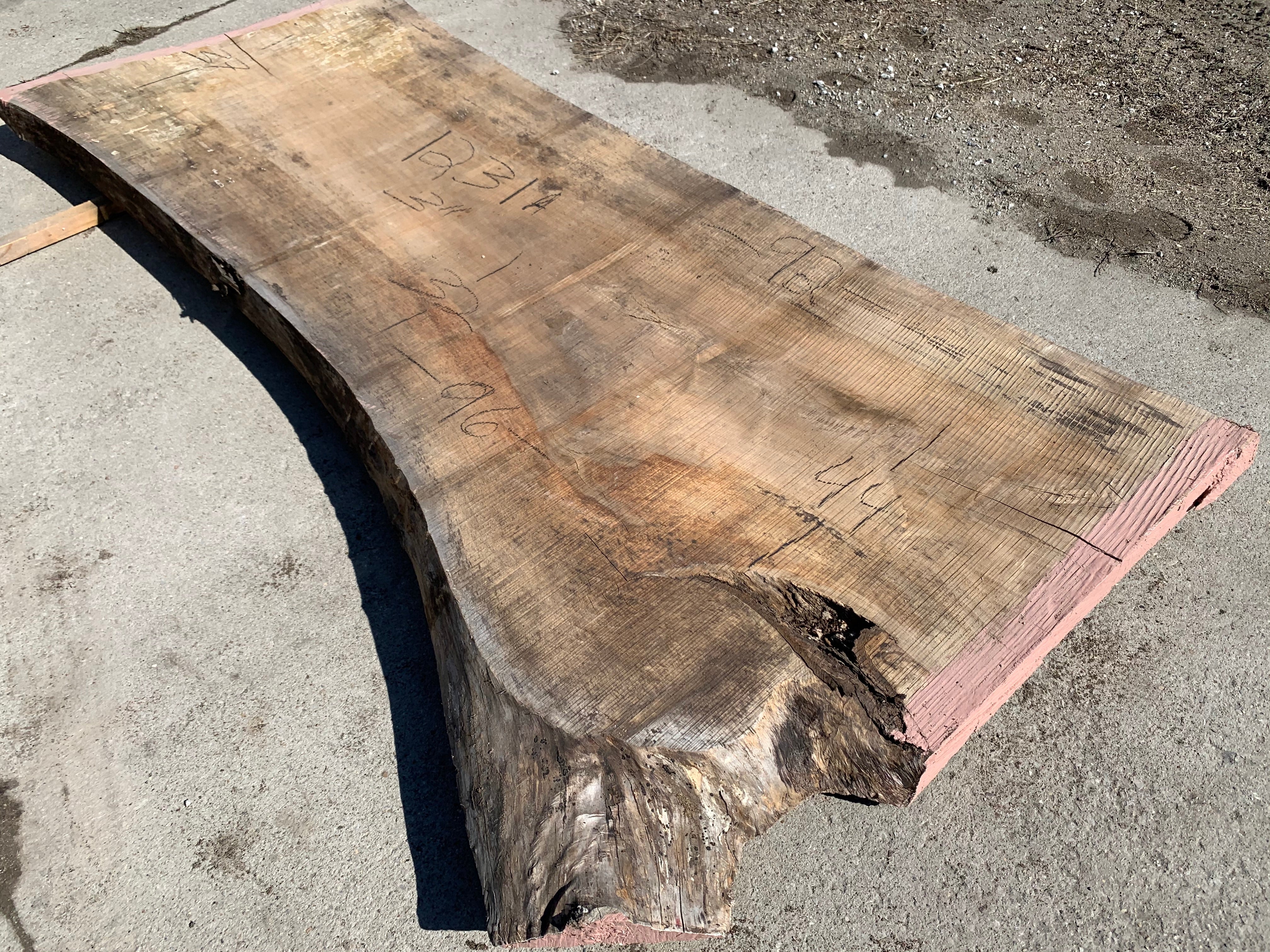Beautiful spalted soft maple slab. Wide slab #1231 Sawmill, mill, lumber, live edge slabs, mantles, floating shelves, wood, logs, log buyer