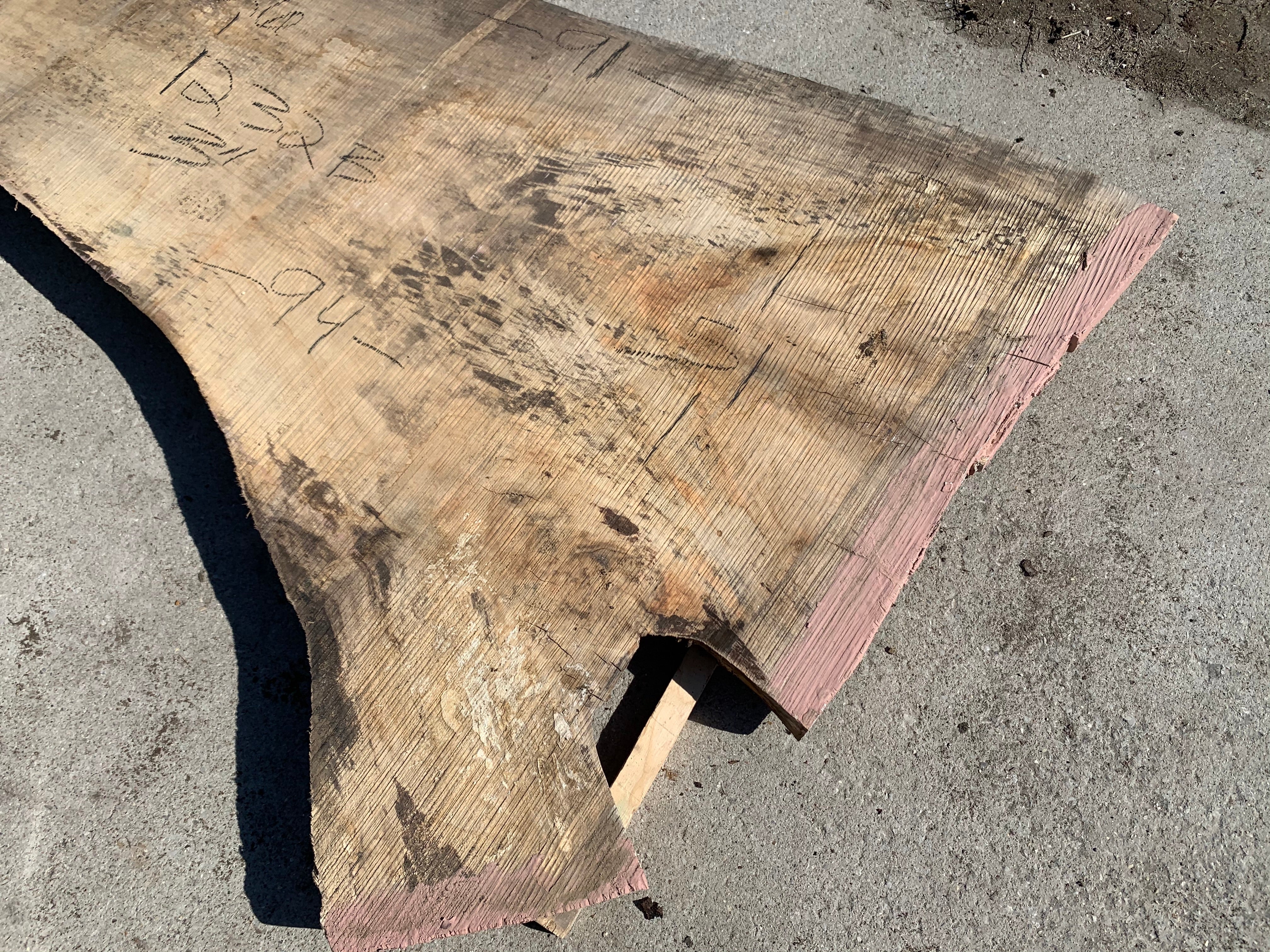 Spalted Soft Maple Slab #1232 Sawmill, mill, lumber, live edge slabs, mantles, floating shelves, wood, logs, log buyer