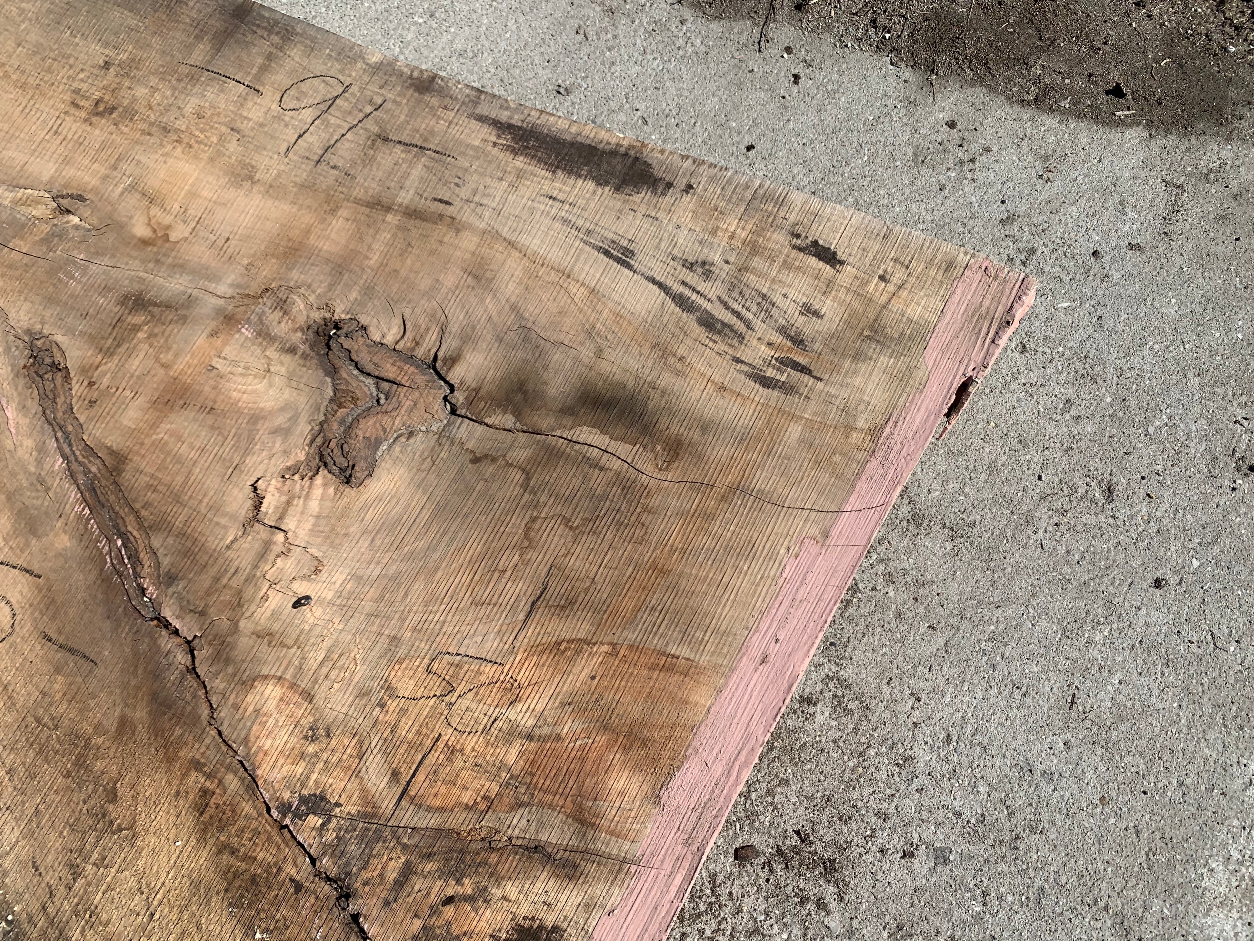 Spalted Soft Maple Slab 